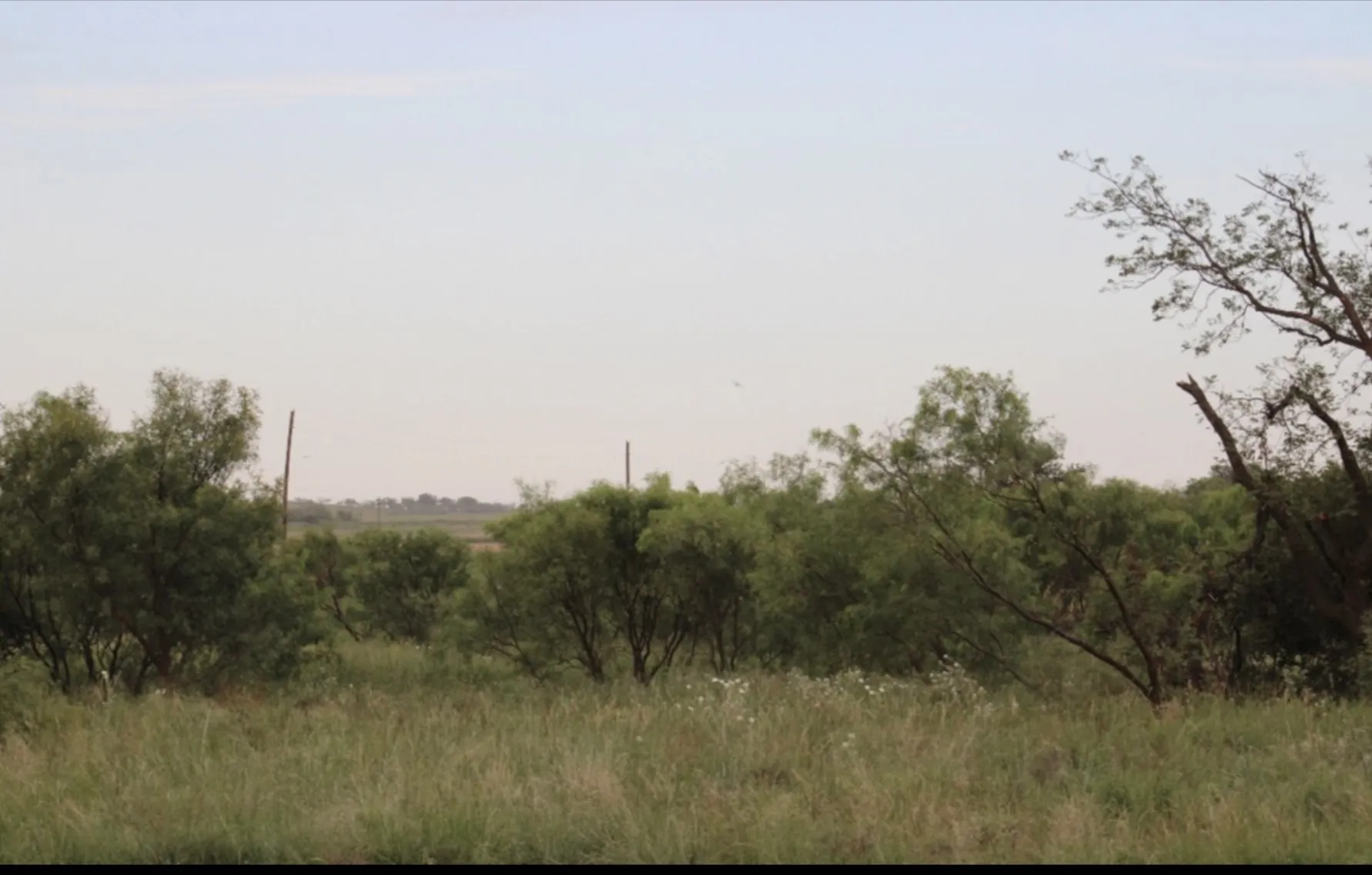 Improved Land For Sale in Fisher County , 300 County Road 232, Rotan, Texas 79546, 0, 0, Garage spaces, 0 Sqft, built in 0, Price $687,000, mls#21297958, Real Estate Agent in Rotan, Homes For Sale in Fisher county, Homes For Sale in Rotan, Realtor in Rotan Texas, Real Estate Brokerage Independent Realty Texas, Luminita Cordes Realtor