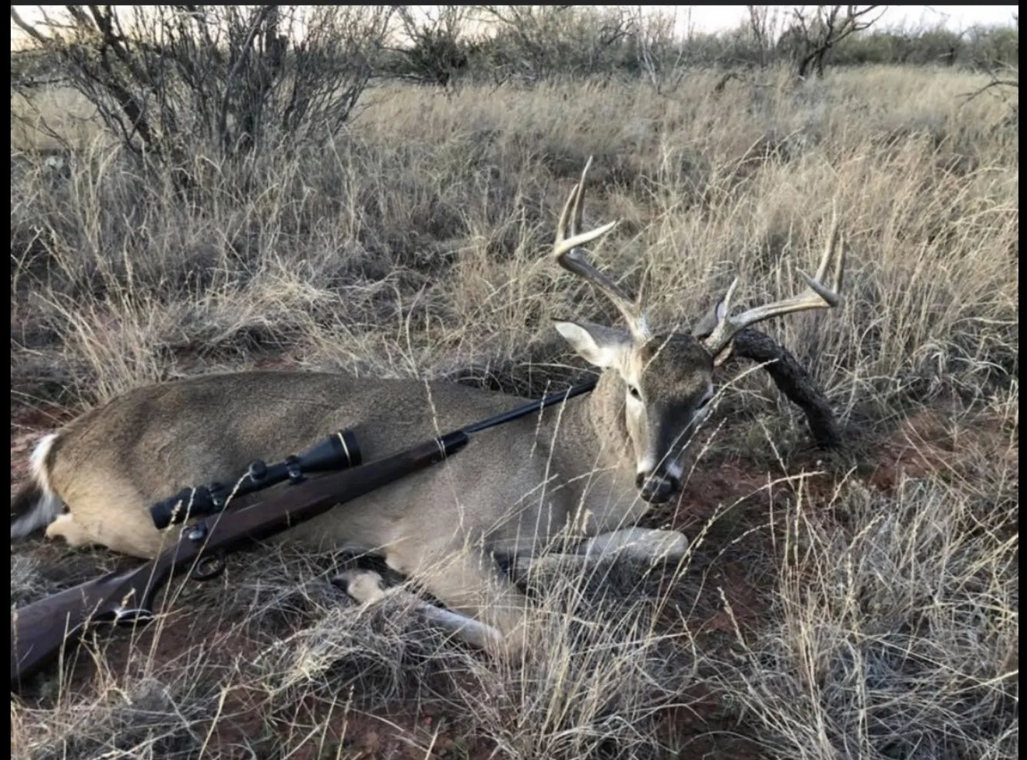 Improved Land For Sale in Fisher County , 300 County Road 232, Rotan, Texas 79546, 0, 0, Garage spaces, 0 Sqft, built in 0, Price $687,000, mls#21297958, Real Estate Agent in Rotan, Homes For Sale in Fisher county, Homes For Sale in Rotan, Realtor in Rotan Texas, Real Estate Brokerage Independent Realty Texas, Luminita Cordes Realtor