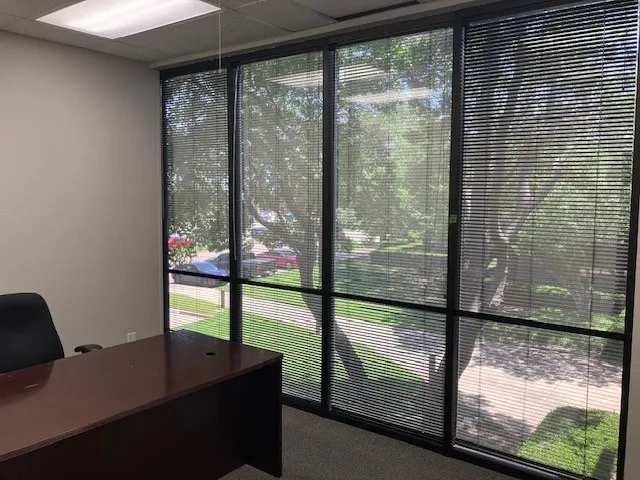 Wall-to-wall window system featuring integrated horizontal blinds