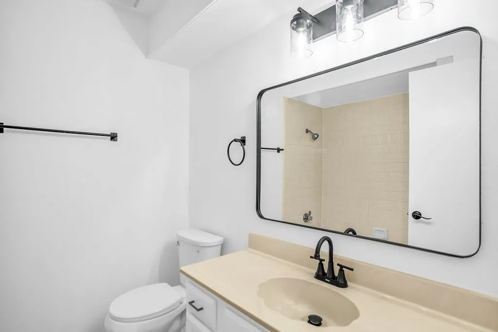 New lighting, mirror, hardware and commode.
