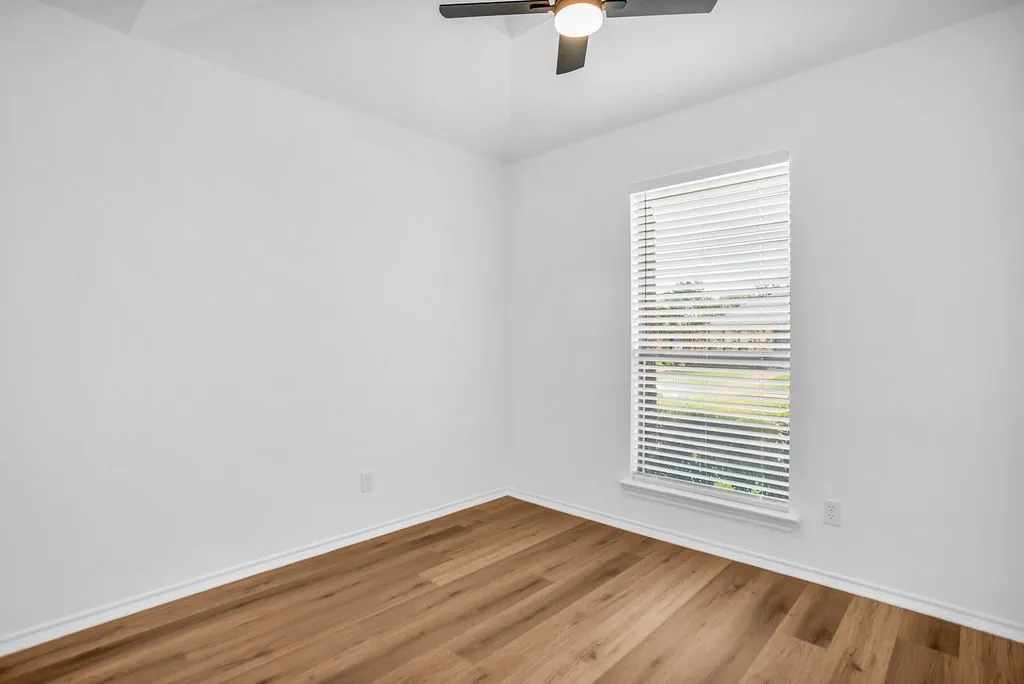 Good natural light.