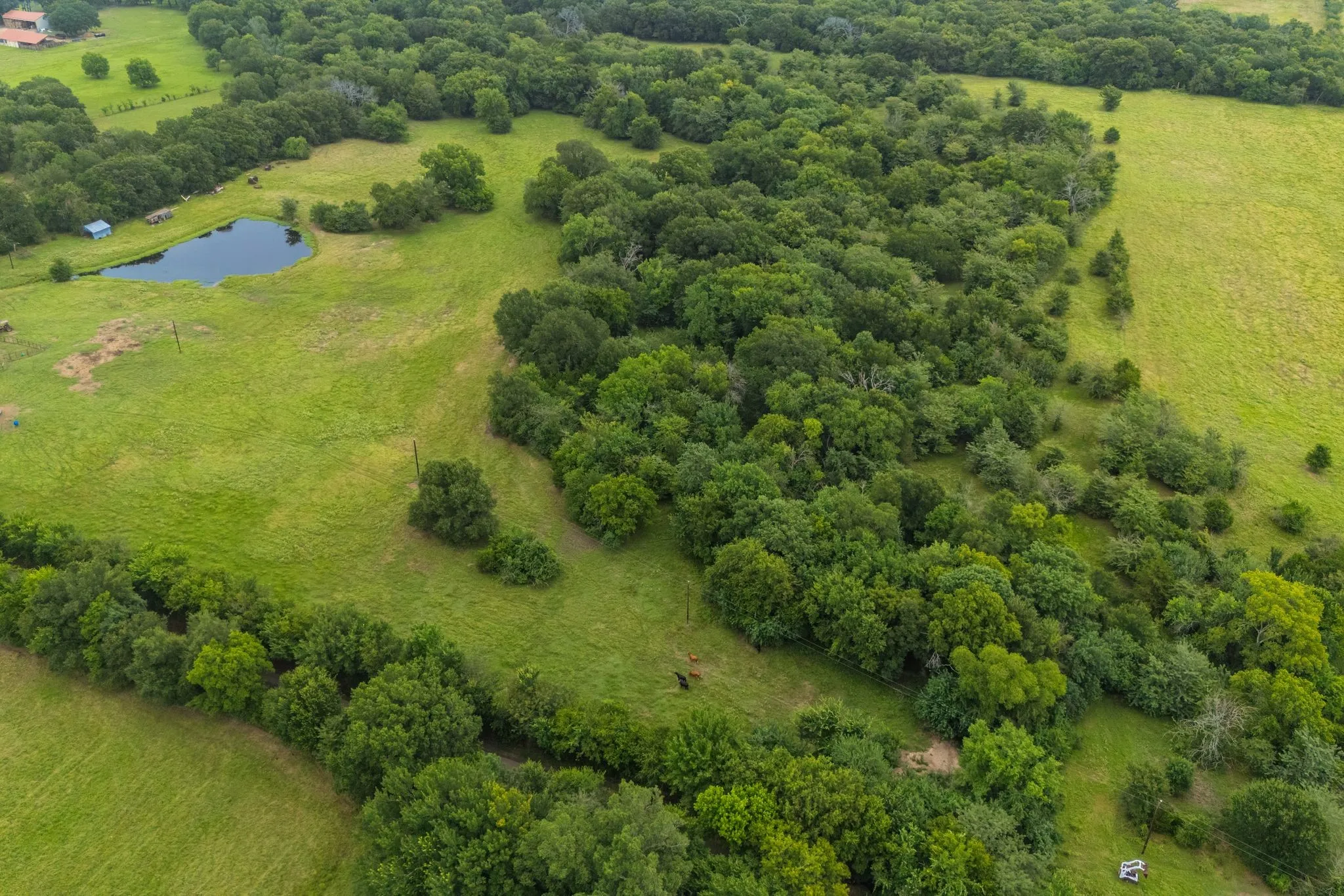 Unimproved Land For Sale in Hunt County , TBD County Road 4209, Campbell, Texas 75422, 0, 0, Garage spaces, 0 Sqft, built in 0, Price $449,900, mls#21297683, Real Estate Agent in Campbell, Homes For Sale in Hunt county, Homes For Sale in Campbell, Realtor in Campbell Texas, Real Estate Brokerage Independent Realty Texas, Luminita Cordes Realtor