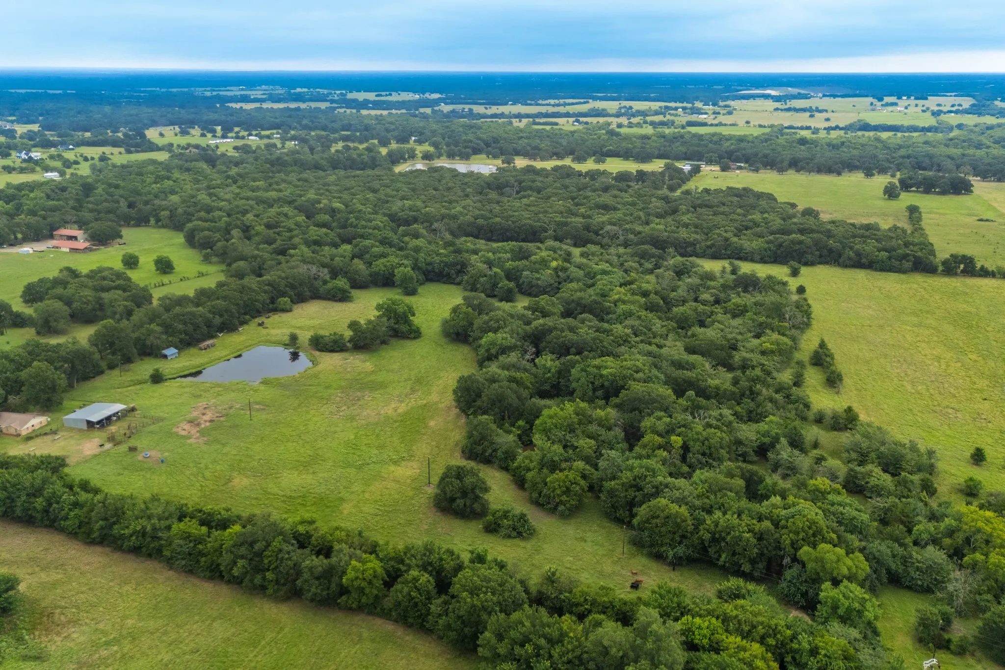 Unimproved Land For Sale in Hunt County , TBD County Road 4209, Campbell, Texas 75422, 0, 0, Garage spaces, 0 Sqft, built in 0, Price $449,900, mls#21297683, Real Estate Agent in Campbell, Homes For Sale in Hunt county, Homes For Sale in Campbell, Realtor in Campbell Texas, Real Estate Brokerage Independent Realty Texas, Luminita Cordes Realtor