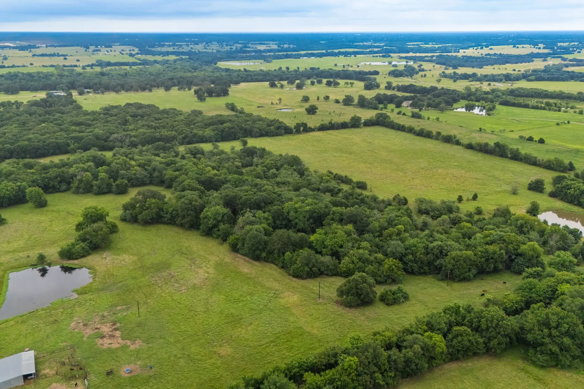 Unimproved Land For Sale in Hunt County , TBD County Road 4209, Campbell, Texas 75422, 0, 0, Garage spaces, 0 Sqft, built in 0, Price $449,900, mls#21297683, Real Estate Agent in Campbell, Homes For Sale in Hunt county, Homes For Sale in Campbell, Realtor in Campbell Texas, Real Estate Brokerage Independent Realty Texas, Luminita Cordes Realtor