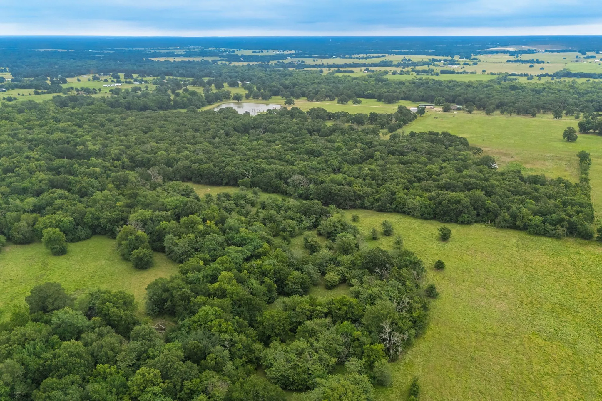 Unimproved Land For Sale in Hunt County , TBD County Road 4209, Campbell, Texas 75422, 0, 0, Garage spaces, 0 Sqft, built in 0, Price $449,900, mls#21297683, Real Estate Agent in Campbell, Homes For Sale in Hunt county, Homes For Sale in Campbell, Realtor in Campbell Texas, Real Estate Brokerage Independent Realty Texas, Luminita Cordes Realtor