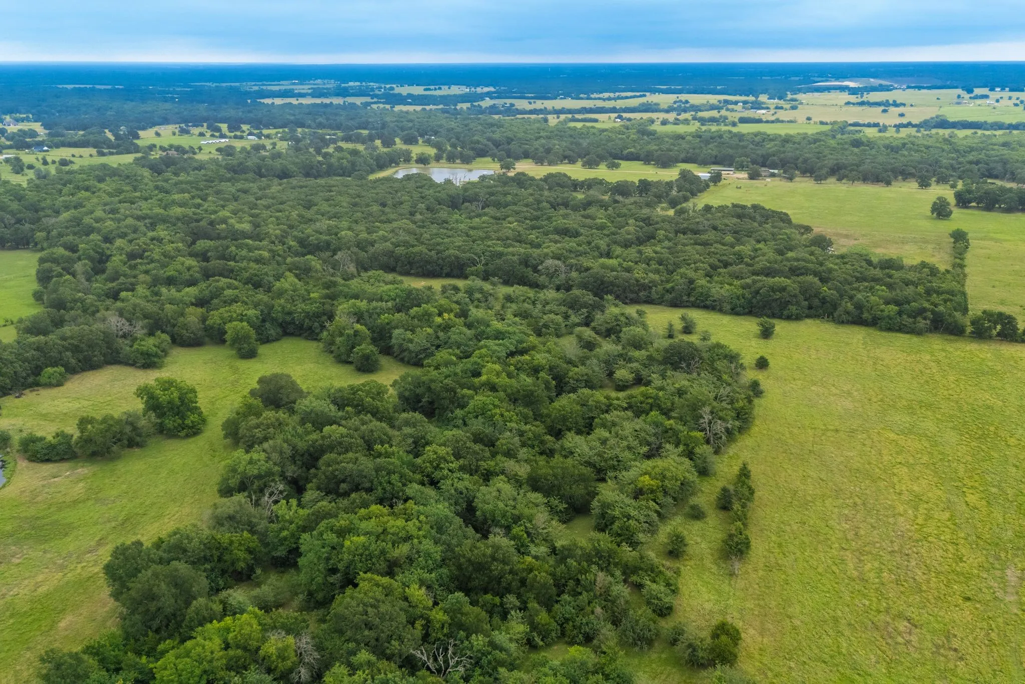 Unimproved Land For Sale in Hunt County , TBD County Road 4209, Campbell, Texas 75422, 0, 0, Garage spaces, 0 Sqft, built in 0, Price $449,900, mls#21297683, Real Estate Agent in Campbell, Homes For Sale in Hunt county, Homes For Sale in Campbell, Realtor in Campbell Texas, Real Estate Brokerage Independent Realty Texas, Luminita Cordes Realtor