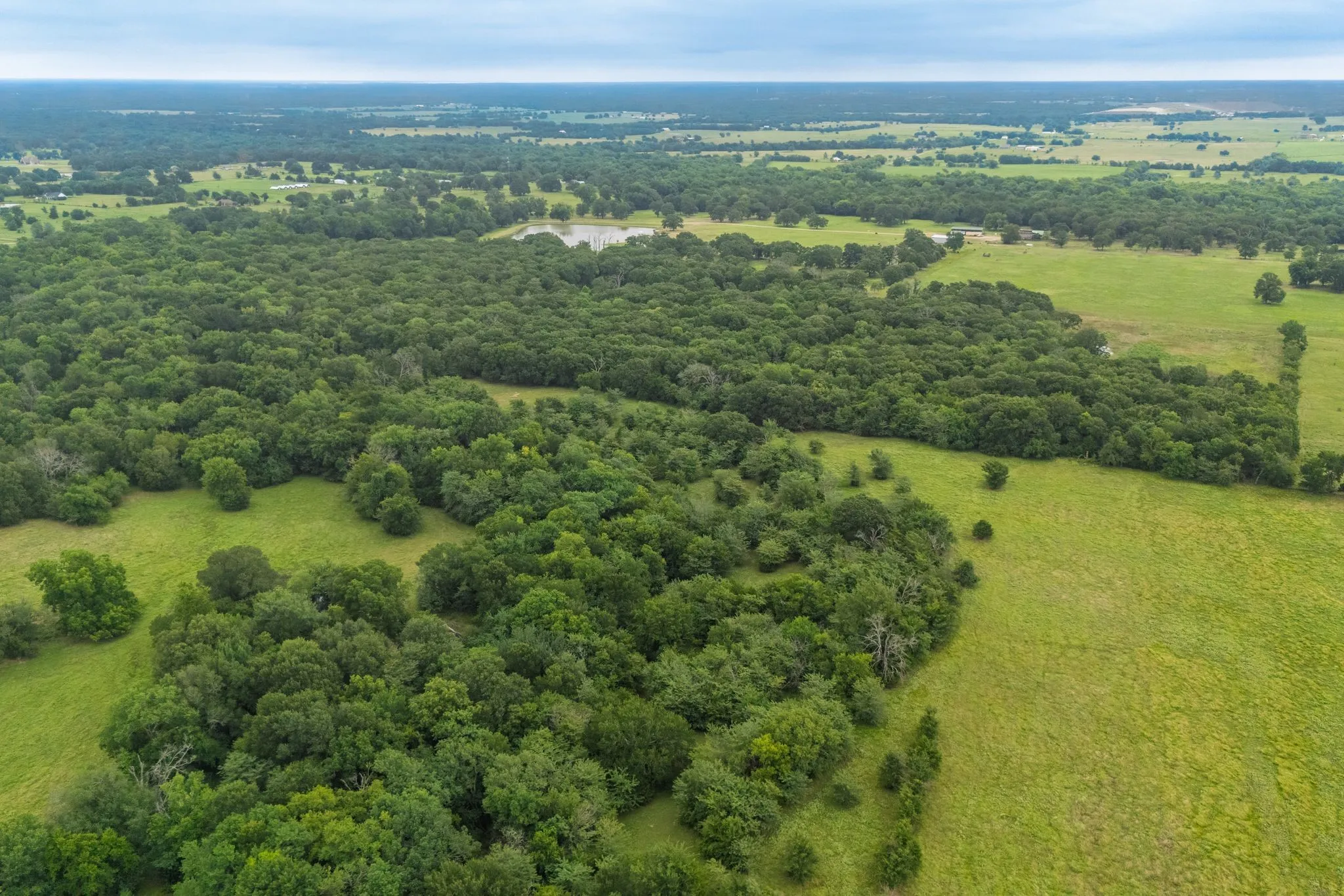 Unimproved Land For Sale in Hunt County , TBD County Road 4209, Campbell, Texas 75422, 0, 0, Garage spaces, 0 Sqft, built in 0, Price $449,900, mls#21297683, Real Estate Agent in Campbell, Homes For Sale in Hunt county, Homes For Sale in Campbell, Realtor in Campbell Texas, Real Estate Brokerage Independent Realty Texas, Luminita Cordes Realtor