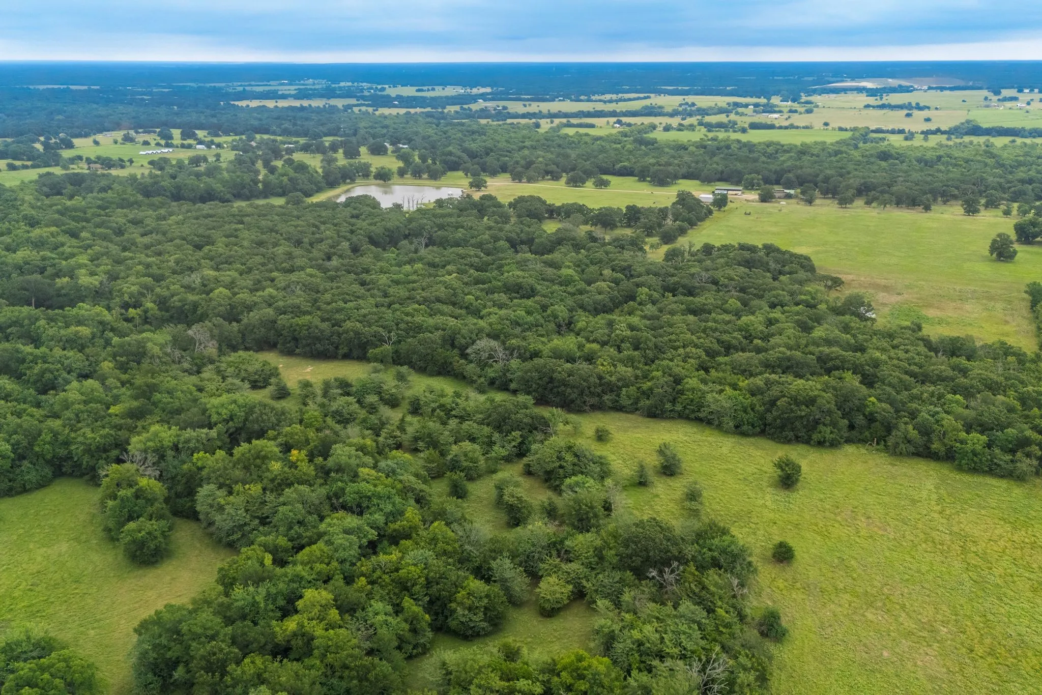 Unimproved Land For Sale in Hunt County , TBD County Road 4209, Campbell, Texas 75422, 0, 0, Garage spaces, 0 Sqft, built in 0, Price $449,900, mls#21297683, Real Estate Agent in Campbell, Homes For Sale in Hunt county, Homes For Sale in Campbell, Realtor in Campbell Texas, Real Estate Brokerage Independent Realty Texas, Luminita Cordes Realtor