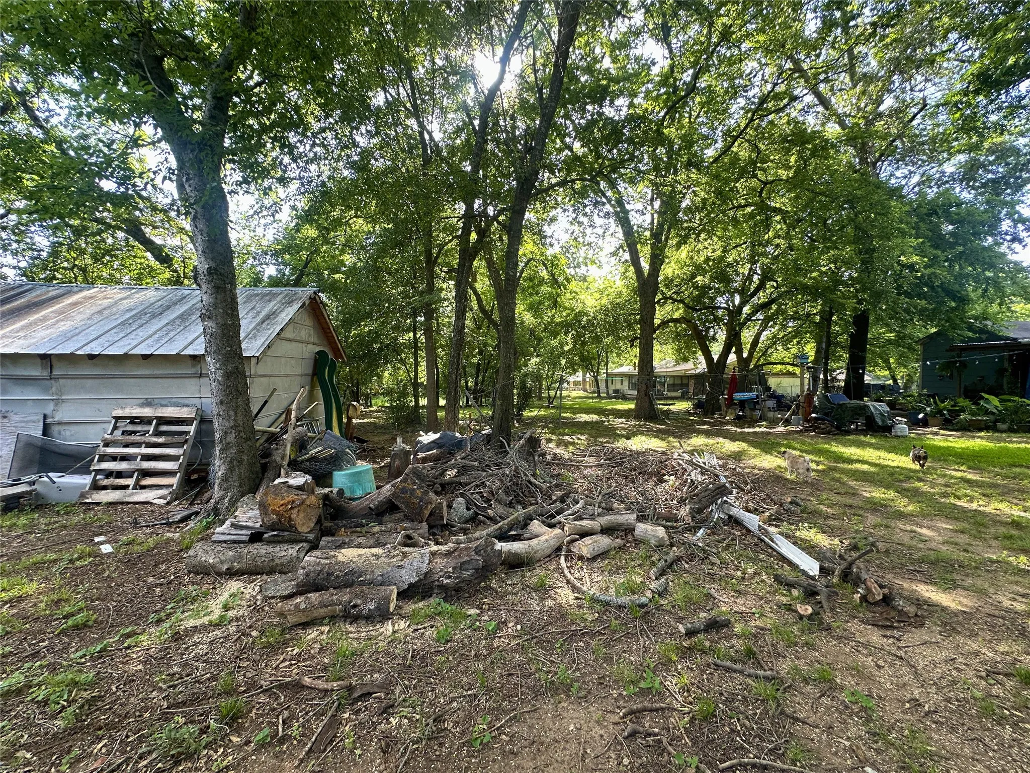 Back yard