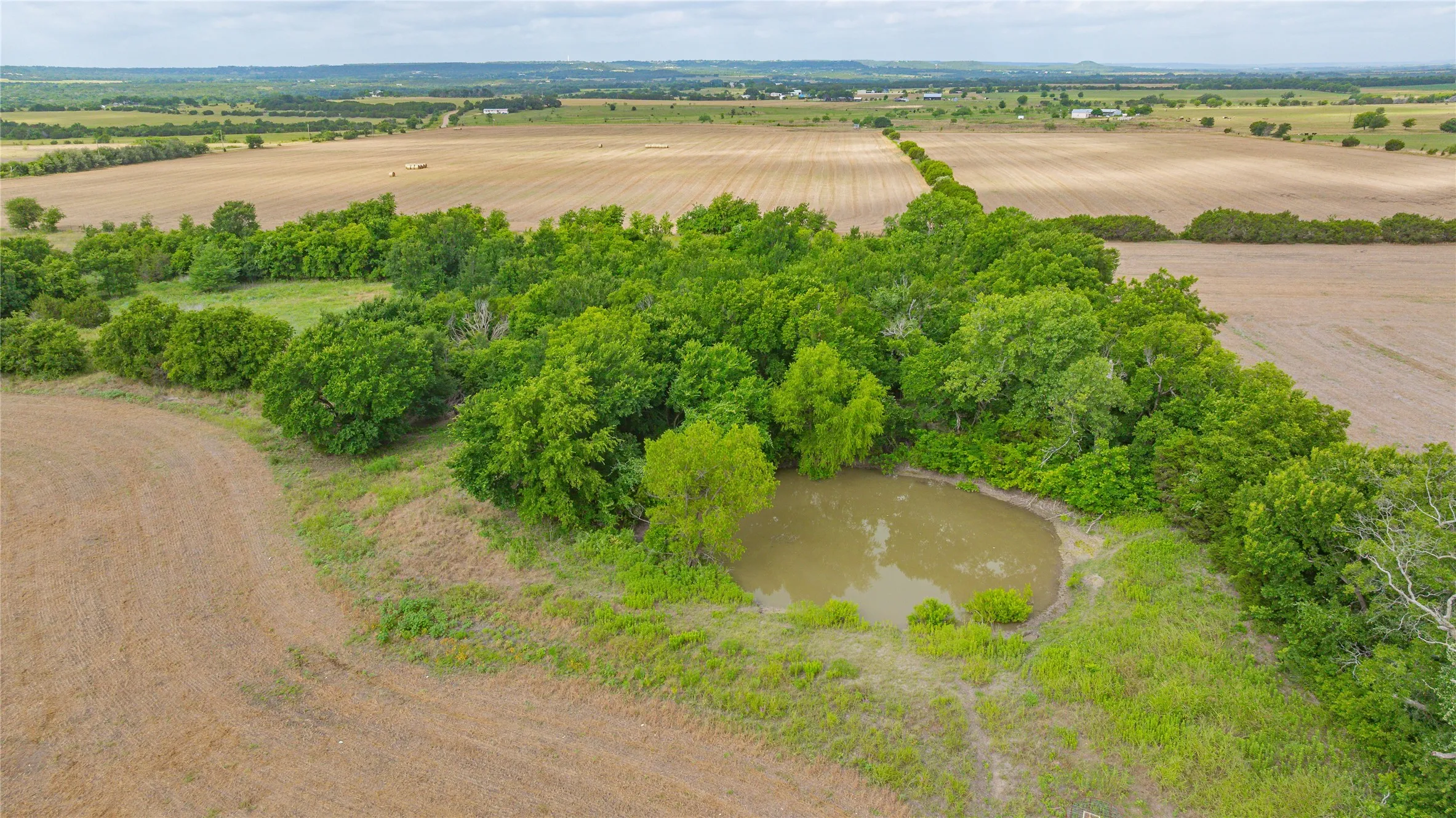 Unimproved Land For Sale in Bosque County , TBD FM 2136 Road, Clifton, Texas 76634, 0, 0, Garage spaces, 0 Sqft, built in 0, mls#21297362, Real Estate Agent in Clifton, Homes For Sale in Bosque county, Homes For Sale in Clifton, Realtor in Clifton Texas, Real Estate Brokerage Independent Realty Texas, Luminita Cordes Realtor