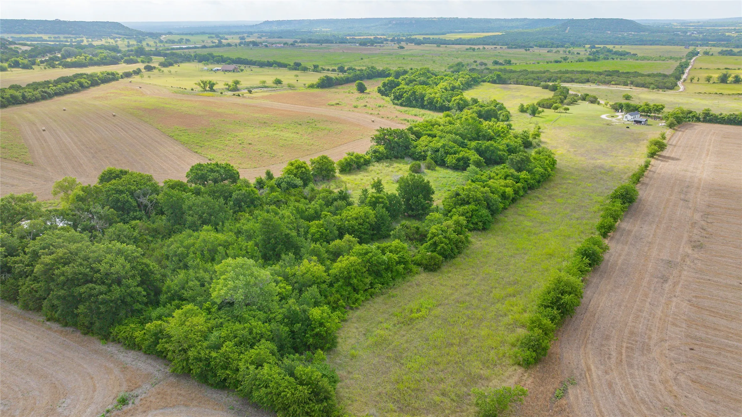 Unimproved Land For Sale in Bosque County , TBD FM 2136 Road, Clifton, Texas 76634, 0, 0, Garage spaces, 0 Sqft, built in 0, mls#21297362, Real Estate Agent in Clifton, Homes For Sale in Bosque county, Homes For Sale in Clifton, Realtor in Clifton Texas, Real Estate Brokerage Independent Realty Texas, Luminita Cordes Realtor