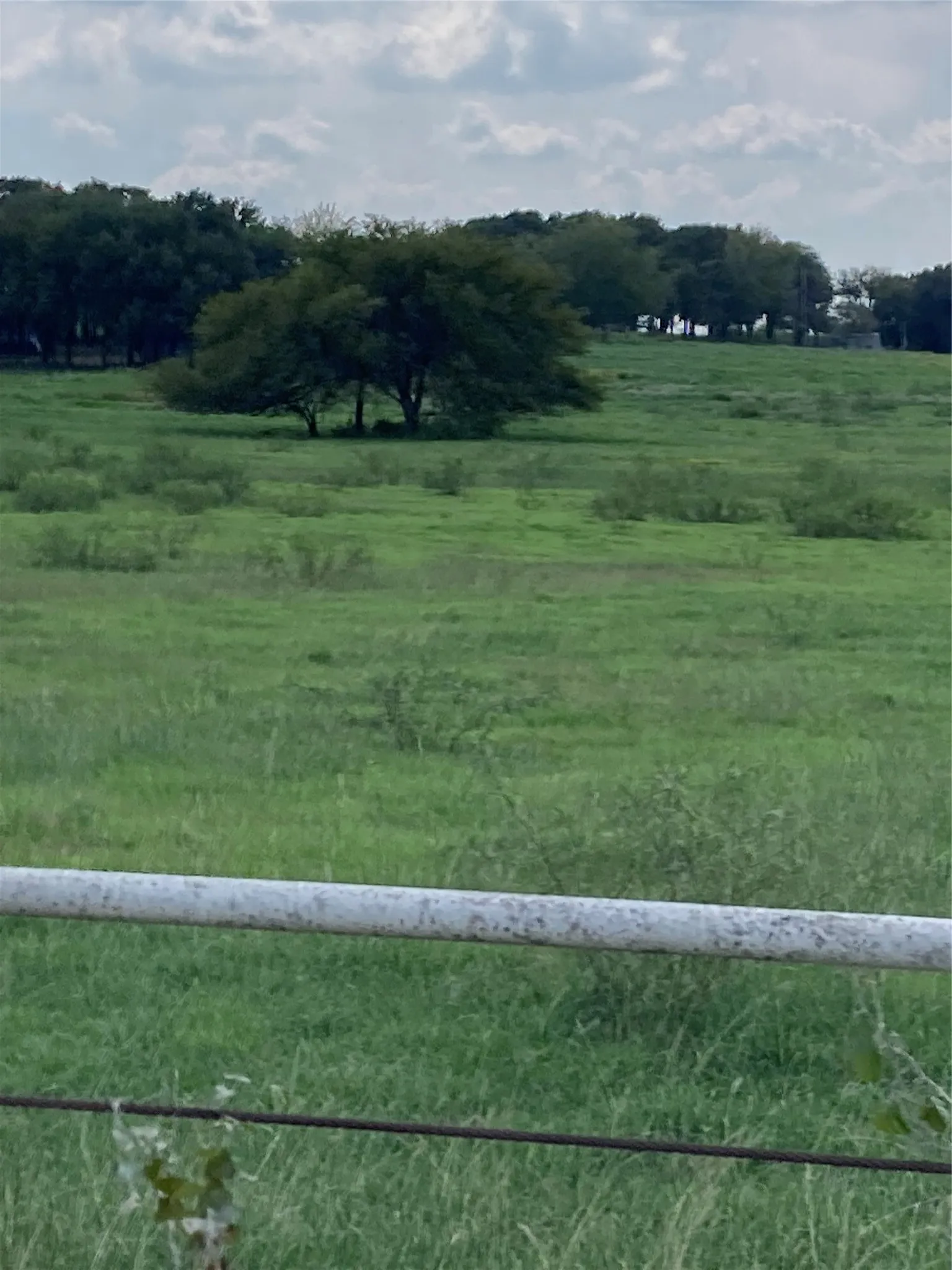 Unimproved Land For Sale in Hill County , 0 TBD Hcr 1414, Covington, Texas 76636, 0, 0, Garage spaces, 0 Sqft, built in 0, Price $269,000, mls#21298125, Real Estate Agent in Covington, Homes For Sale in Hill county, Homes For Sale in Covington, Realtor in Covington Texas, Real Estate Brokerage Independent Realty Texas, Luminita Cordes Realtor