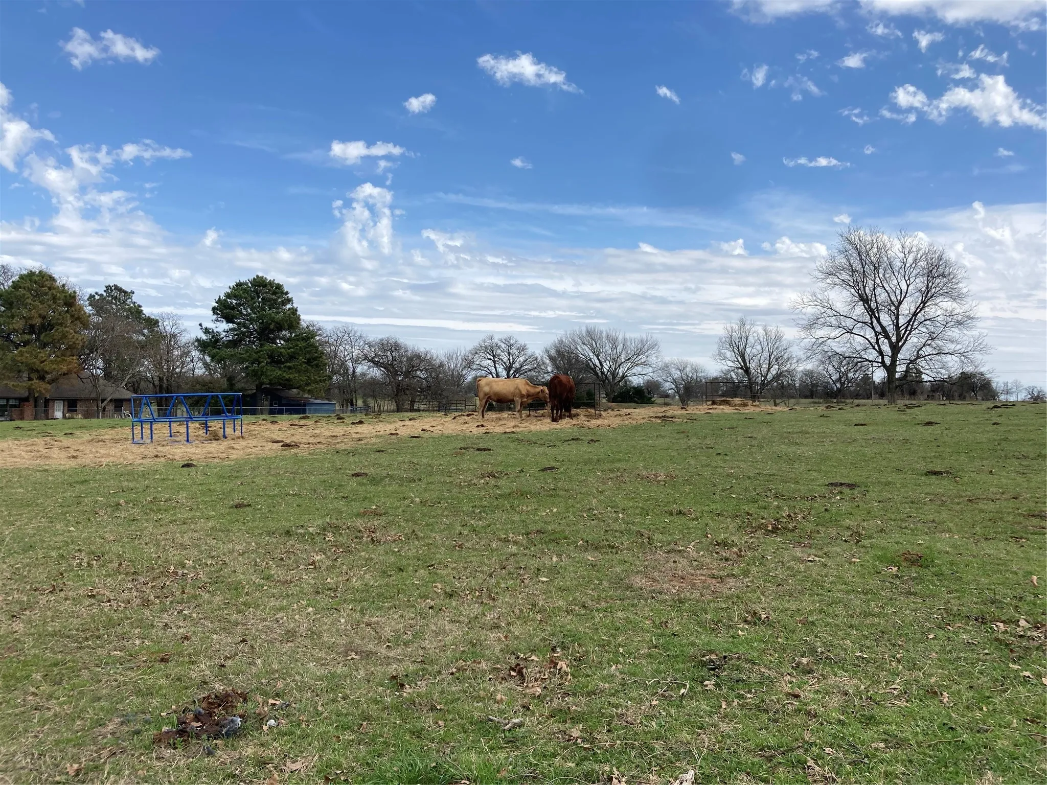 Unimproved Land For Sale in Hill County , 0 TBD Hcr 1414, Covington, Texas 76636, 0, 0, Garage spaces, 0 Sqft, built in 0, Price $269,000, mls#21298125, Real Estate Agent in Covington, Homes For Sale in Hill county, Homes For Sale in Covington, Realtor in Covington Texas, Real Estate Brokerage Independent Realty Texas, Luminita Cordes Realtor