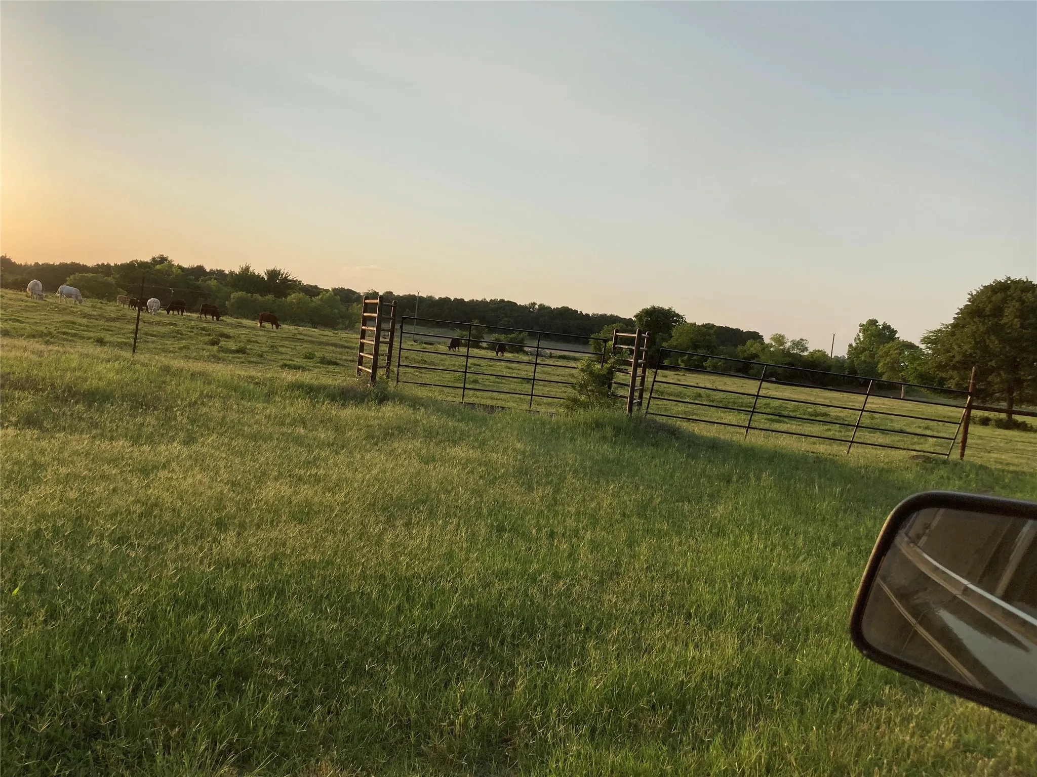 Unimproved Land For Sale in Hill County , 0 TBD Hcr 1414, Covington, Texas 76636, 0, 0, Garage spaces, 0 Sqft, built in 0, Price $269,000, mls#21298125, Real Estate Agent in Covington, Homes For Sale in Hill county, Homes For Sale in Covington, Realtor in Covington Texas, Real Estate Brokerage Independent Realty Texas, Luminita Cordes Realtor