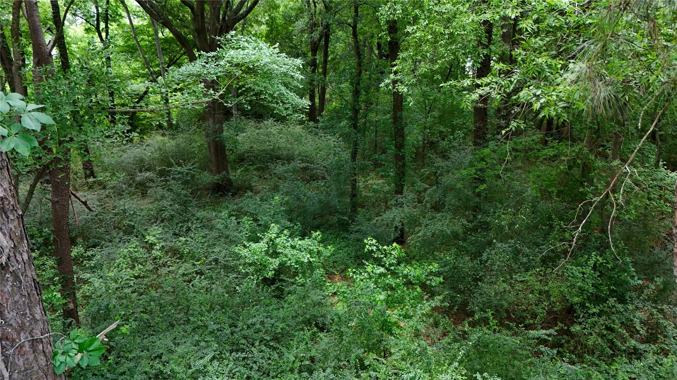 Improved Land For Sale in Henderson County , Lot 339 Grand View Drive, Athens, Texas 75752, 0, 0, Garage spaces, 0 Sqft, built in 0, mls#21298135, Real Estate Agent in Athens, Homes For Sale in Henderson county, Homes For Sale in Athens, Realtor in Athens Texas, Real Estate Brokerage Independent Realty Texas, Luminita Cordes Realtor
