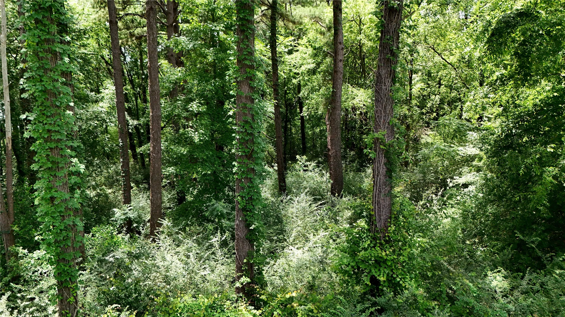 Improved Land For Sale in Henderson County , Lot 339 Grand View Drive, Athens, Texas 75752, 0, 0, Garage spaces, 0 Sqft, built in 0, mls#21298135, Real Estate Agent in Athens, Homes For Sale in Henderson county, Homes For Sale in Athens, Realtor in Athens Texas, Real Estate Brokerage Independent Realty Texas, Luminita Cordes Realtor