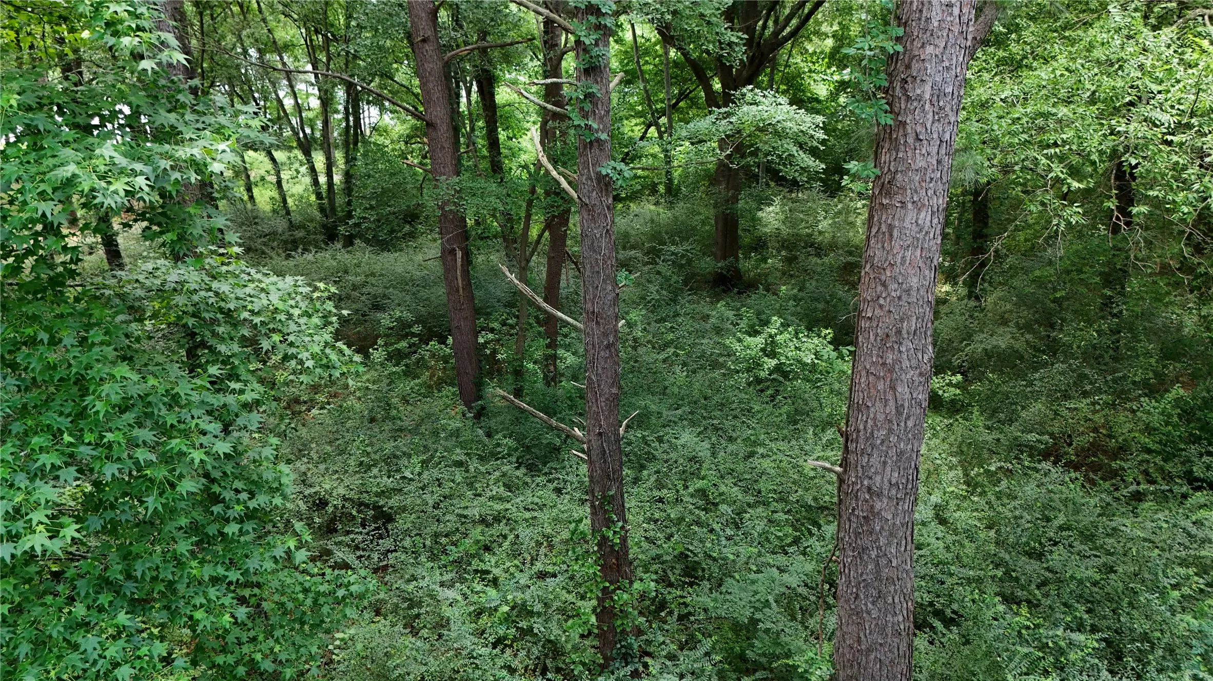 Improved Land For Sale in Henderson County , Lot 339 Grand View Drive, Athens, Texas 75752, 0, 0, Garage spaces, 0 Sqft, built in 0, mls#21298135, Real Estate Agent in Athens, Homes For Sale in Henderson county, Homes For Sale in Athens, Realtor in Athens Texas, Real Estate Brokerage Independent Realty Texas, Luminita Cordes Realtor