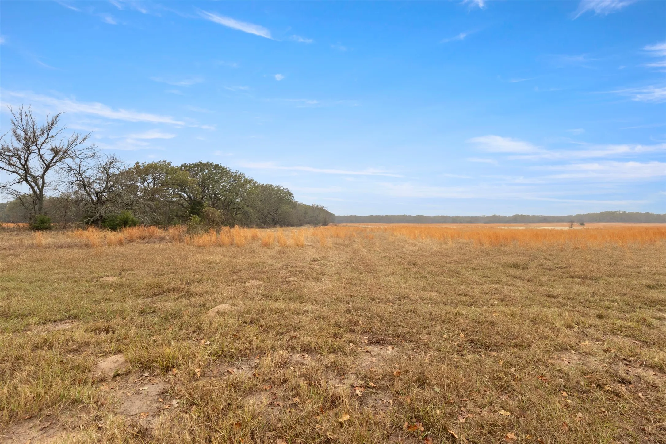 Unimproved Land For Sale in Hunt County , TBD County Road 2526, Quinlan, Texas 75474, 0, 0, Garage spaces, 0 Sqft, built in 0, Price $265,000, mls#21297312, Real Estate Agent in Quinlan, Homes For Sale in Hunt county, Homes For Sale in Quinlan, Realtor in Quinlan Texas, Real Estate Brokerage Independent Realty Texas, Luminita Cordes Realtor