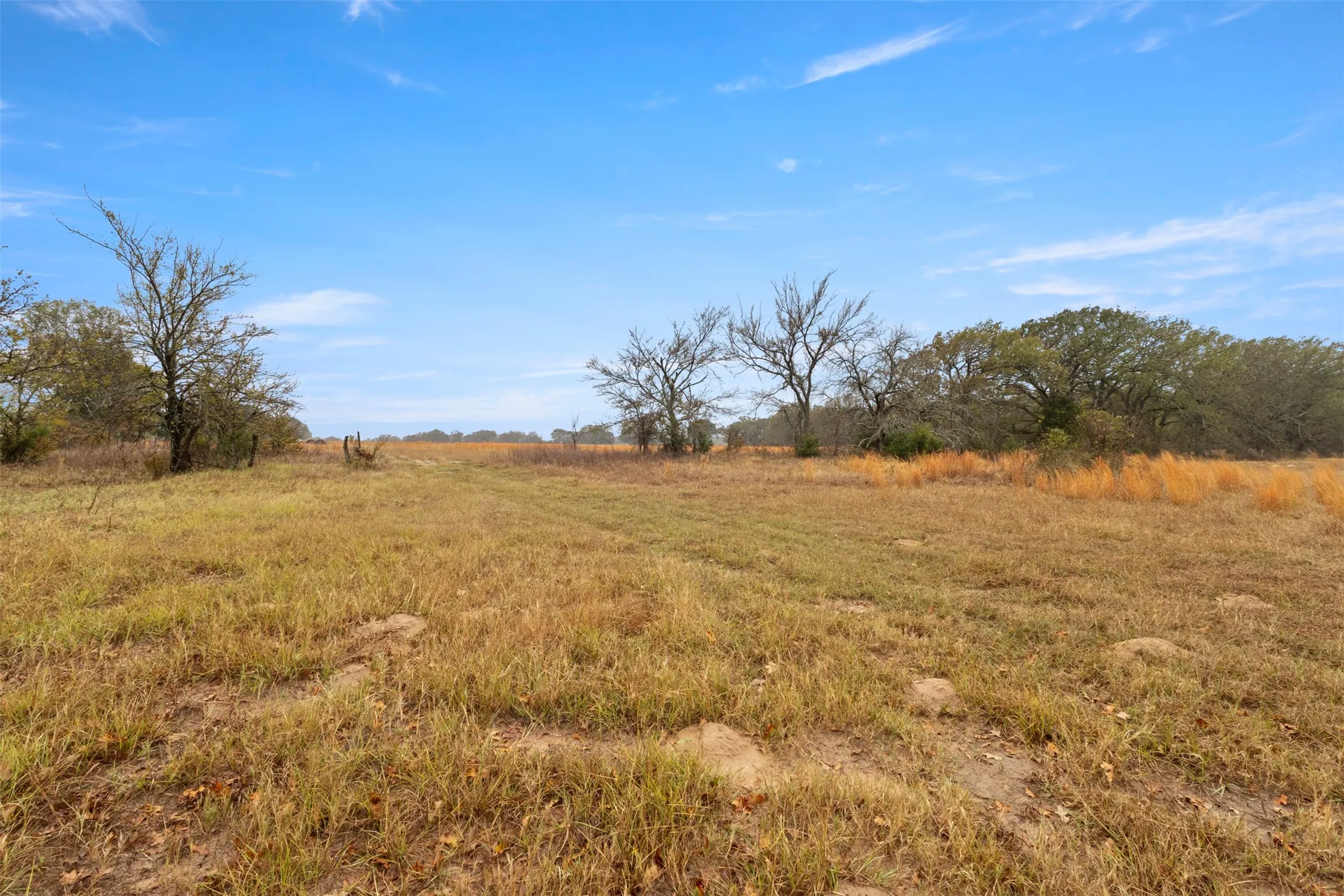 Unimproved Land For Sale in Hunt County , TBD County Road 2526, Quinlan, Texas 75474, 0, 0, Garage spaces, 0 Sqft, built in 0, Price $265,000, mls#21297312, Real Estate Agent in Quinlan, Homes For Sale in Hunt county, Homes For Sale in Quinlan, Realtor in Quinlan Texas, Real Estate Brokerage Independent Realty Texas, Luminita Cordes Realtor