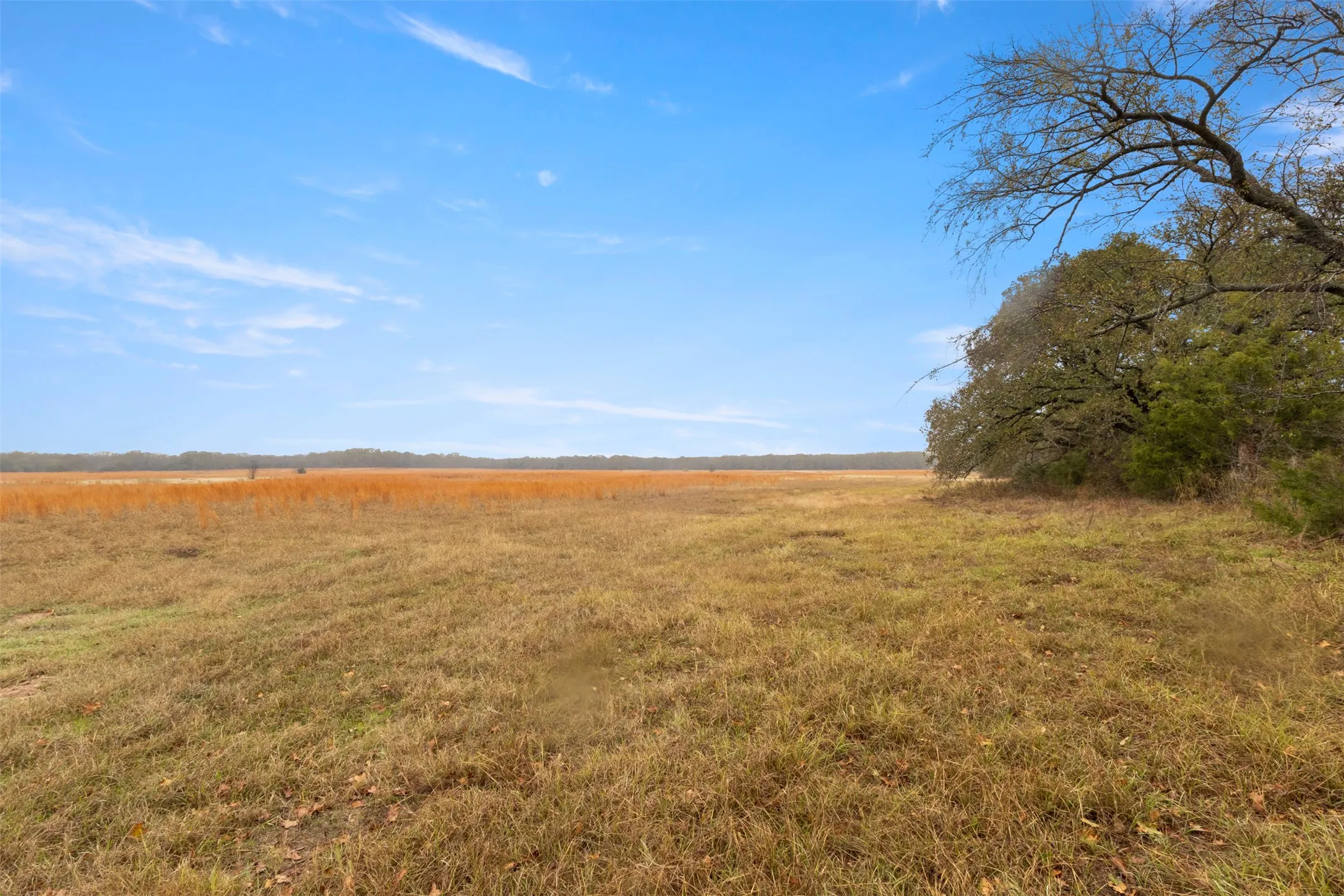 Unimproved Land For Sale in Hunt County , TBD County Road 2526, Quinlan, Texas 75474, 0, 0, Garage spaces, 0 Sqft, built in 0, Price $265,000, mls#21297312, Real Estate Agent in Quinlan, Homes For Sale in Hunt county, Homes For Sale in Quinlan, Realtor in Quinlan Texas, Real Estate Brokerage Independent Realty Texas, Luminita Cordes Realtor