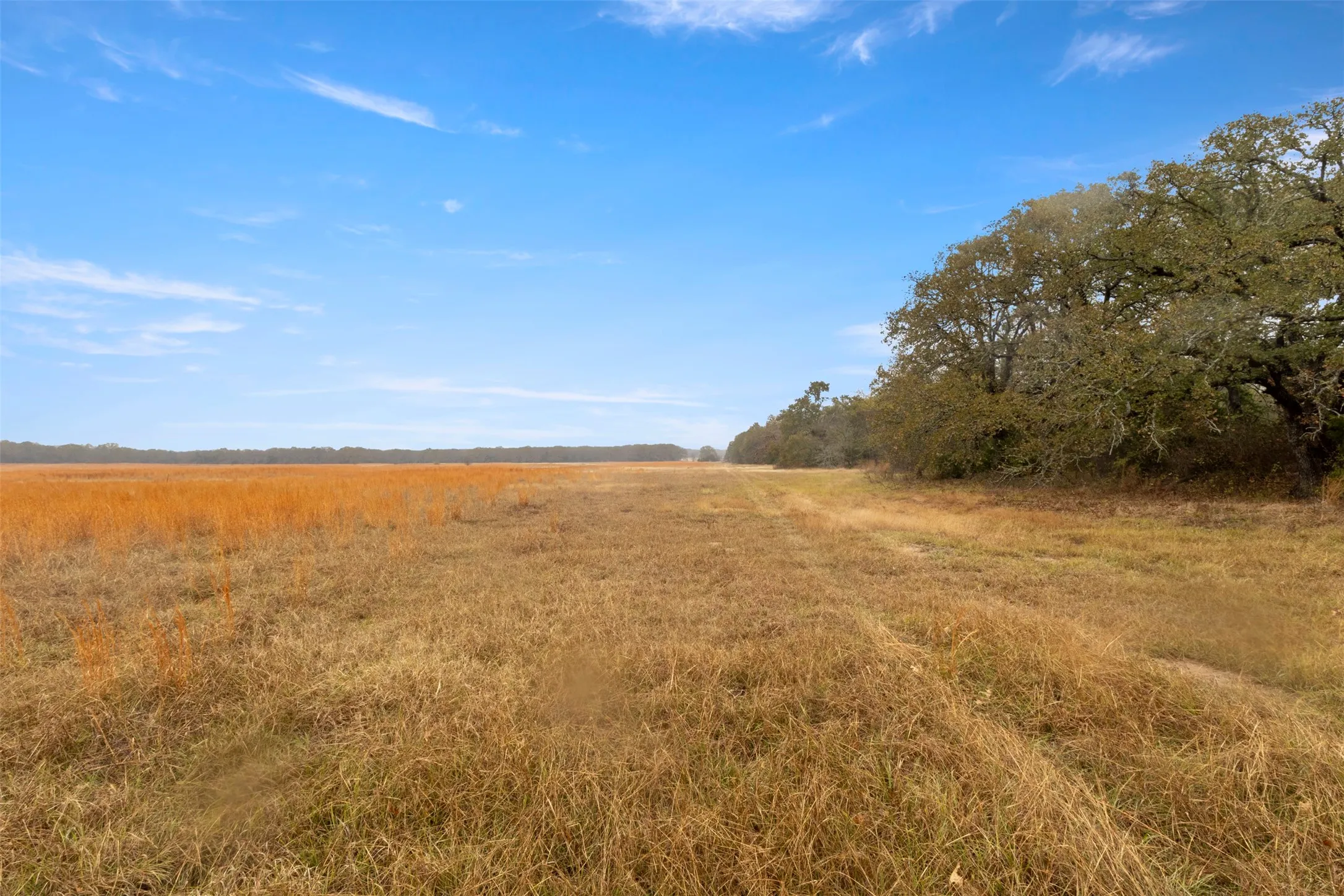 Unimproved Land For Sale in Hunt County , TBD County Road 2526, Quinlan, Texas 75474, 0, 0, Garage spaces, 0 Sqft, built in 0, Price $265,000, mls#21297312, Real Estate Agent in Quinlan, Homes For Sale in Hunt county, Homes For Sale in Quinlan, Realtor in Quinlan Texas, Real Estate Brokerage Independent Realty Texas, Luminita Cordes Realtor