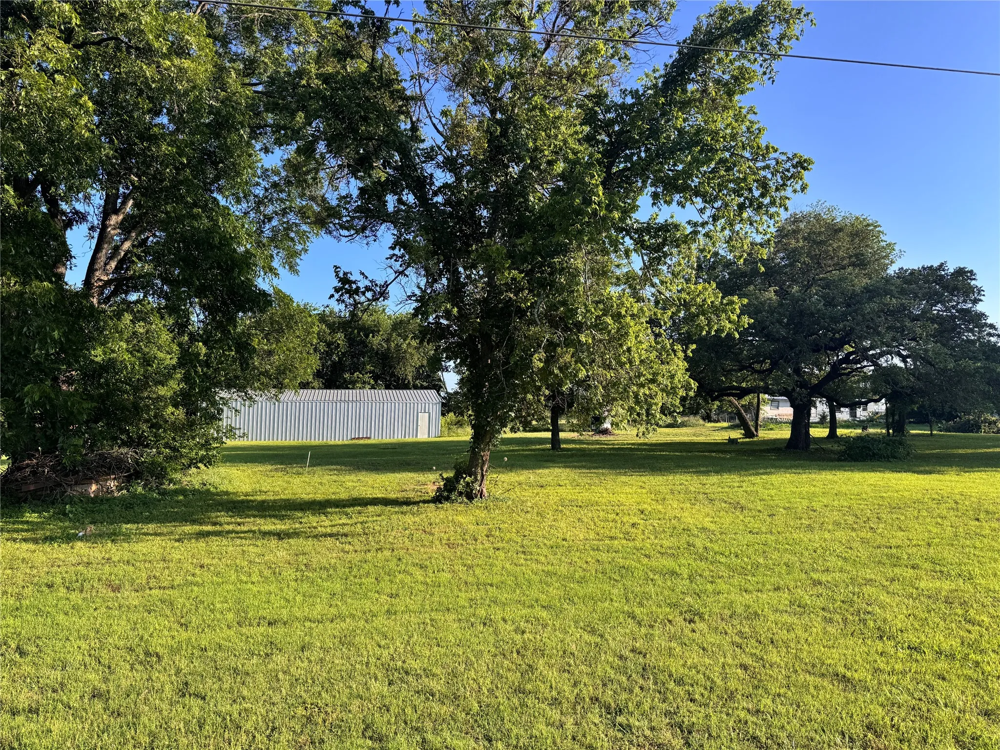 Yard