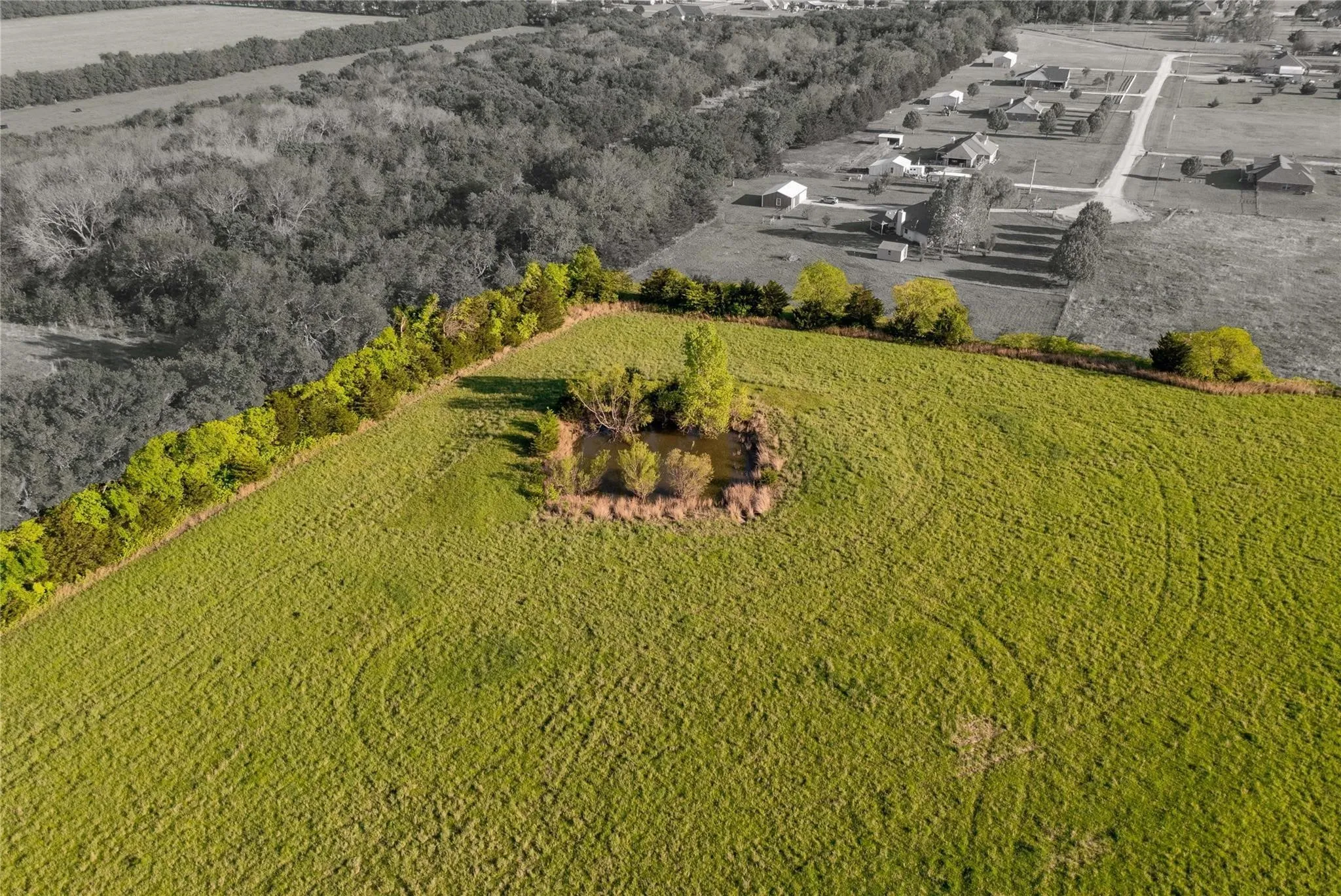 Unimproved Land For Sale in Fannin County , 34.4 AC County Road 4905, Trenton, Texas 75490, 0, 0, Garage spaces, 0 Sqft, built in 0, mls#21298244, Real Estate Agent in Trenton, Homes For Sale in Fannin county, Homes For Sale in Trenton, Realtor in Trenton Texas, Real Estate Brokerage Independent Realty Texas, Luminita Cordes Realtor