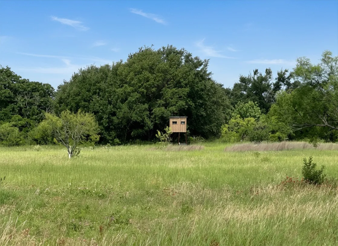 Unimproved Land For Sale in Brown County , 38 White Wing Circle, Blanket, Texas 76432, 0, 0, Garage spaces, 0 Sqft, built in 0, Price $139,000, mls#21298197, Real Estate Agent in Blanket, Homes For Sale in Brown county, Homes For Sale in Blanket, Realtor in Blanket Texas, Real Estate Brokerage Independent Realty Texas, Luminita Cordes Realtor
