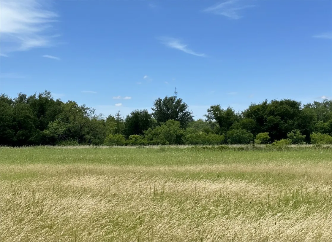 Unimproved Land For Sale in Brown County , 38 White Wing Circle, Blanket, Texas 76432, 0, 0, Garage spaces, 0 Sqft, built in 0, Price $139,000, mls#21298197, Real Estate Agent in Blanket, Homes For Sale in Brown county, Homes For Sale in Blanket, Realtor in Blanket Texas, Real Estate Brokerage Independent Realty Texas, Luminita Cordes Realtor