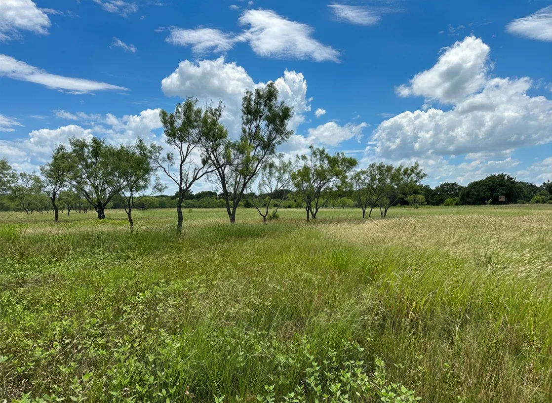 Unimproved Land For Sale in Brown County , 38 White Wing Circle, Blanket, Texas 76432, 0, 0, Garage spaces, 0 Sqft, built in 0, Price $139,000, mls#21298197, Real Estate Agent in Blanket, Homes For Sale in Brown county, Homes For Sale in Blanket, Realtor in Blanket Texas, Real Estate Brokerage Independent Realty Texas, Luminita Cordes Realtor