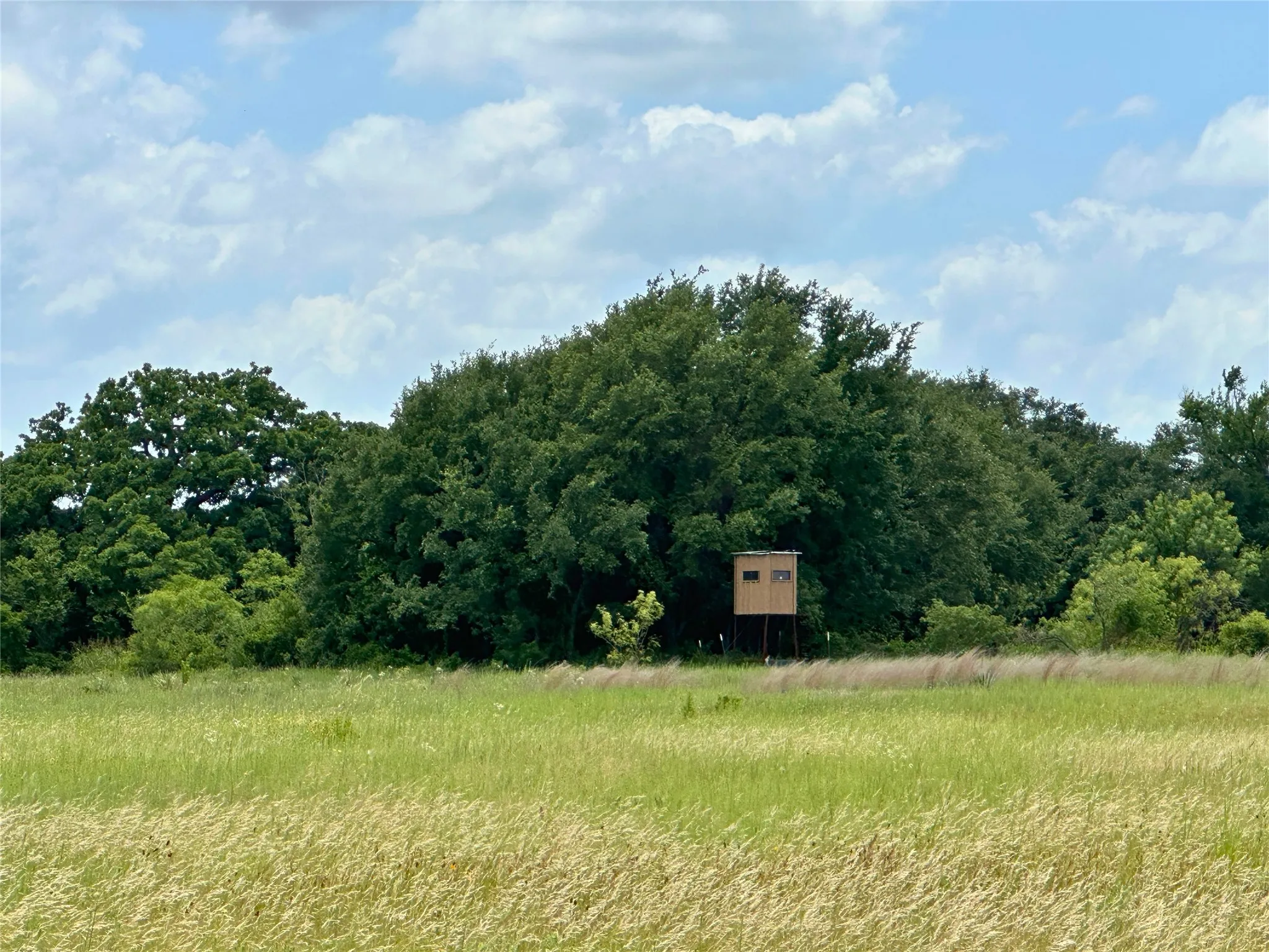 Unimproved Land For Sale in Brown County , 38 White Wing Circle, Blanket, Texas 76432, 0, 0, Garage spaces, 0 Sqft, built in 0, Price $139,000, mls#21298197, Real Estate Agent in Blanket, Homes For Sale in Brown county, Homes For Sale in Blanket, Realtor in Blanket Texas, Real Estate Brokerage Independent Realty Texas, Luminita Cordes Realtor