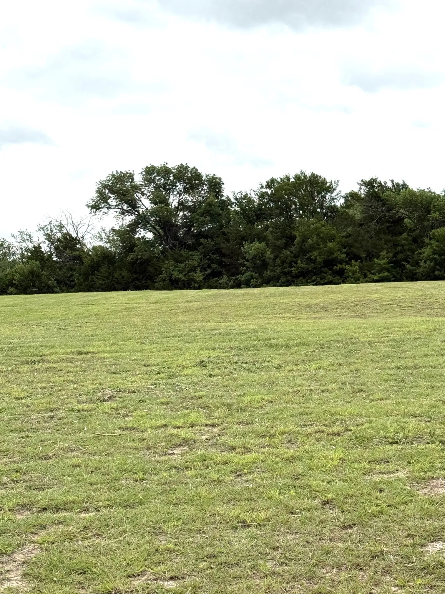 Unimproved Land For Sale in Grayson County , LOT 4 KEY Road, Sherman, Texas 75090, 0, 0, Garage spaces, 0 Sqft, built in 0, mls#21298276, Real Estate Agent in Sherman, Homes For Sale in Grayson county, Homes For Sale in Sherman, Realtor in Sherman Texas, Real Estate Brokerage Independent Realty Texas, Luminita Cordes Realtor