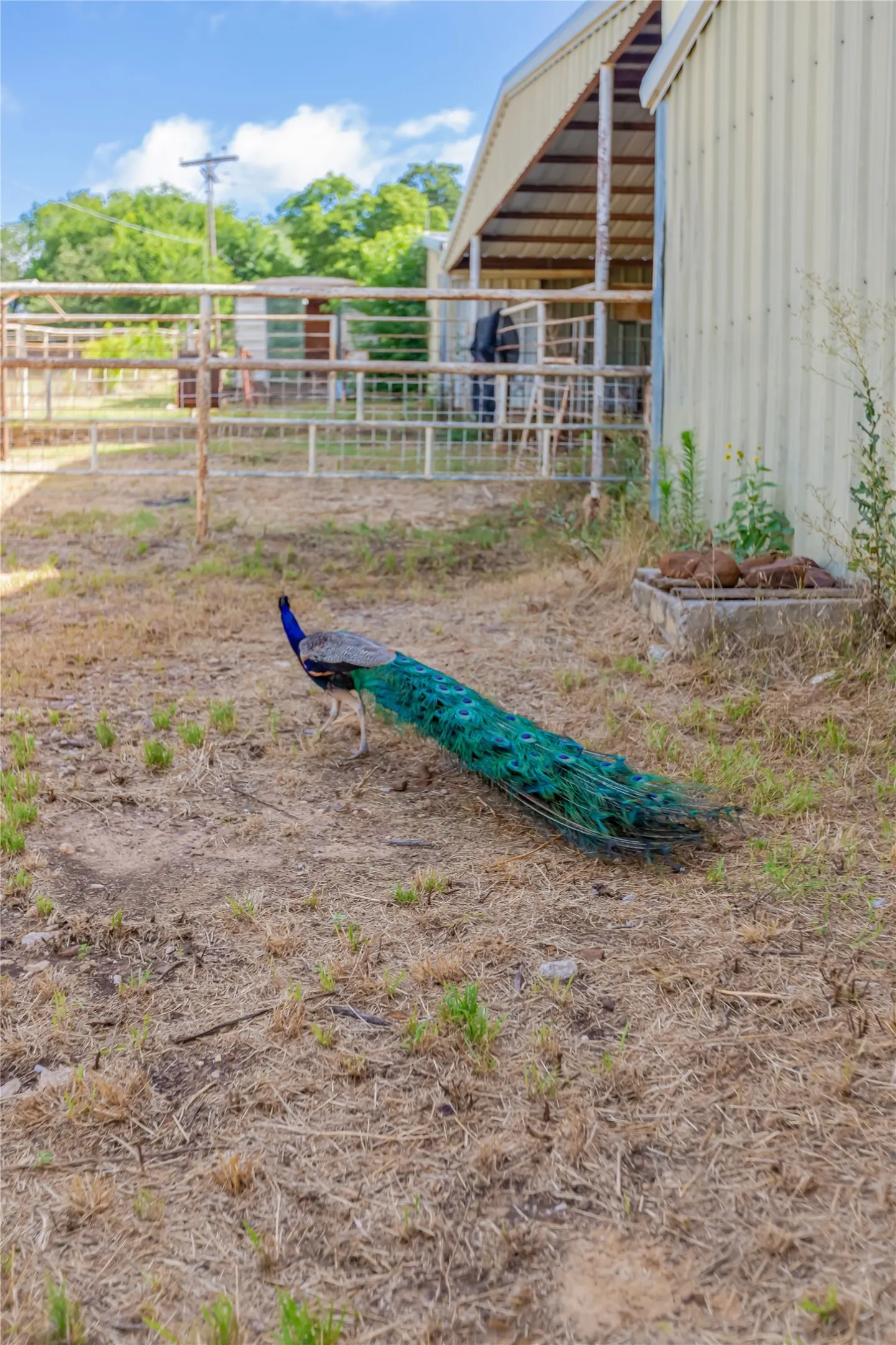 Unimproved Land For Sale in Tarrant County , 1241 Oak Hill Road, Keller, Texas 76248, 0, 0, Garage spaces, 0 Sqft, built in 0, Price $2,200,000, mls#21293849, Real Estate Agent in Keller, Homes For Sale in Tarrant county, Homes For Sale in Keller, Realtor in Keller Texas, Real Estate Brokerage Independent Realty Texas, Luminita Cordes Realtor