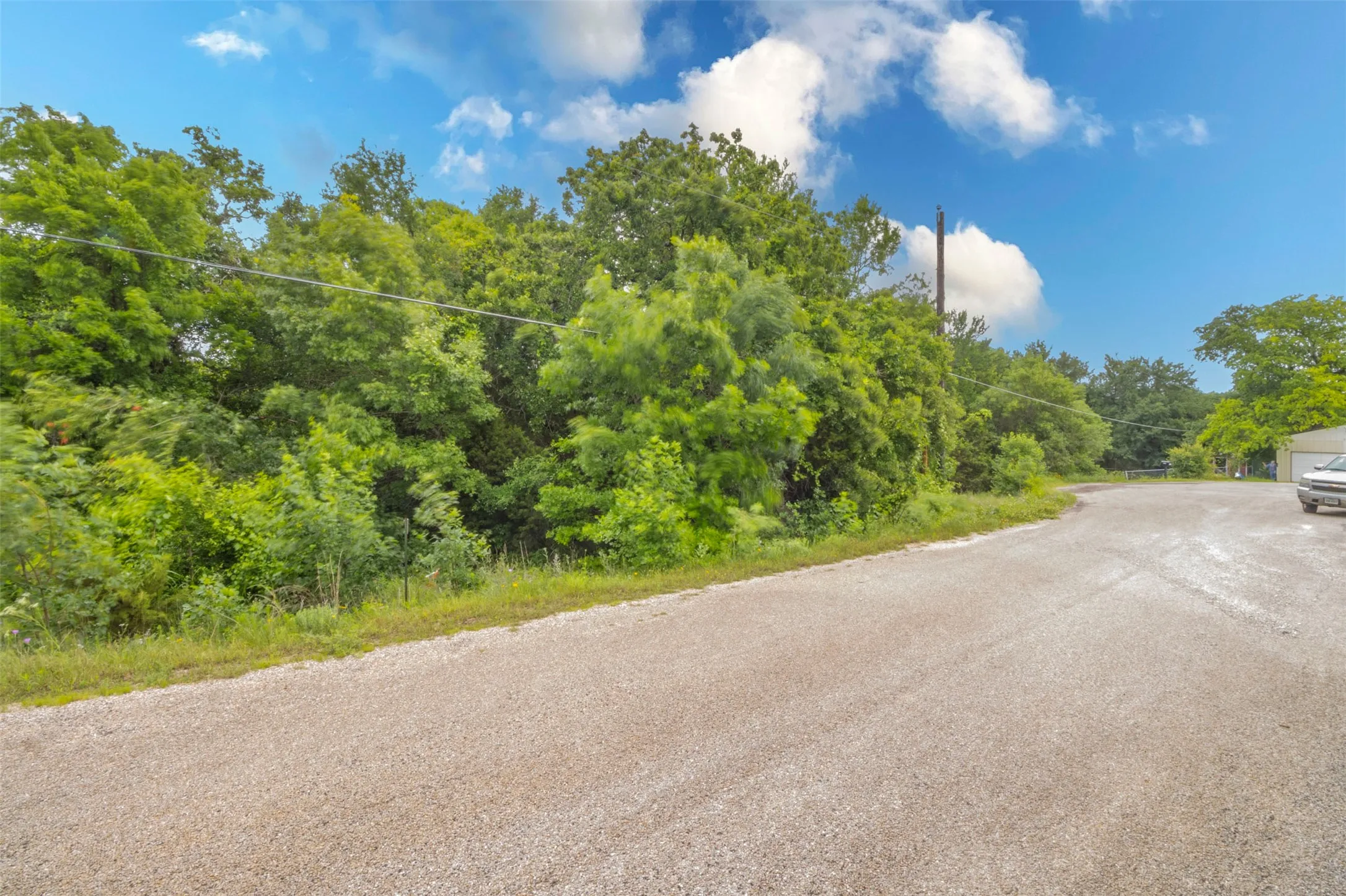 Gravel access road with surrounding mature trees and vegetation