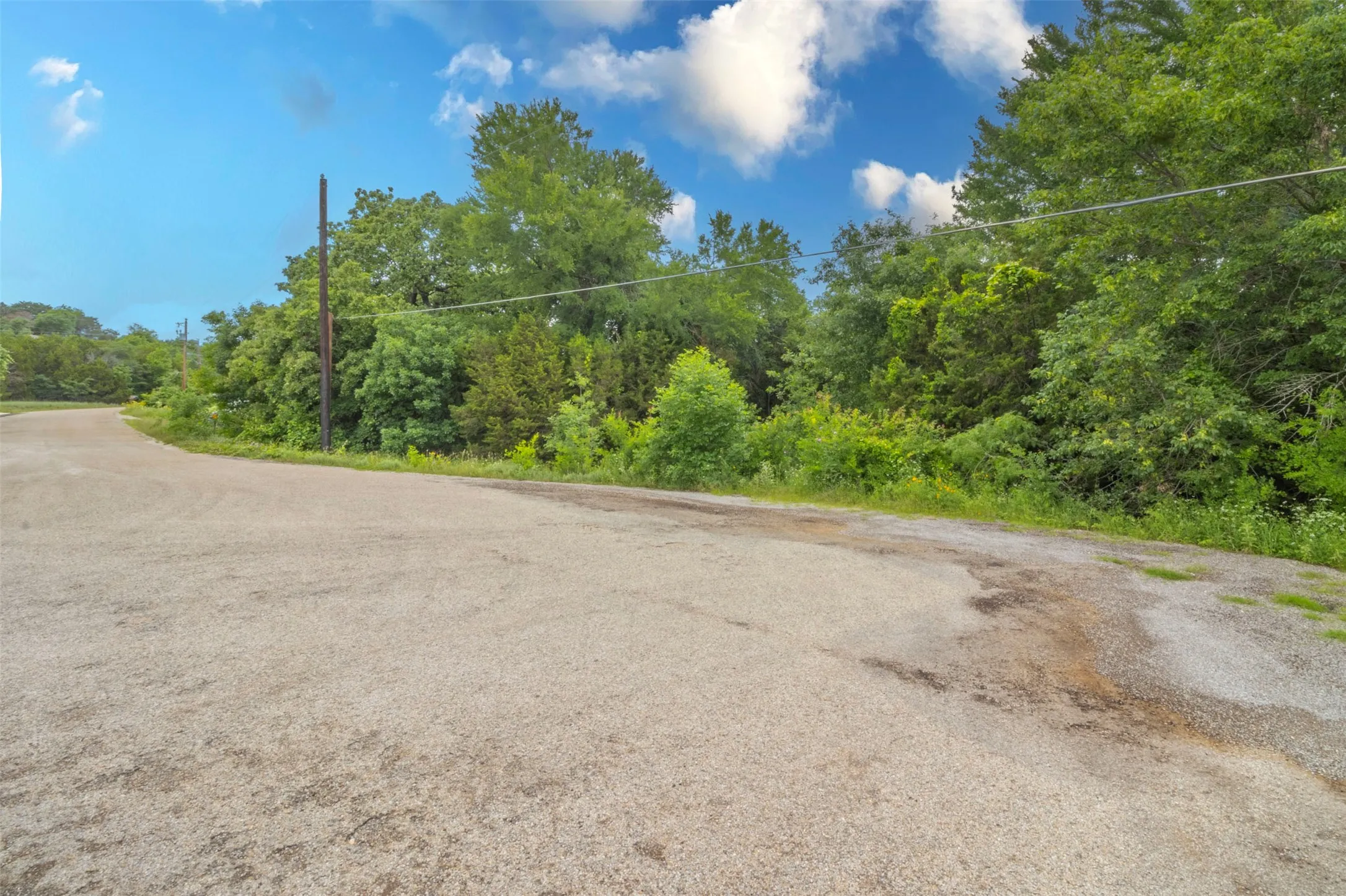 Paved road surface with bordering green foliage and mature trees