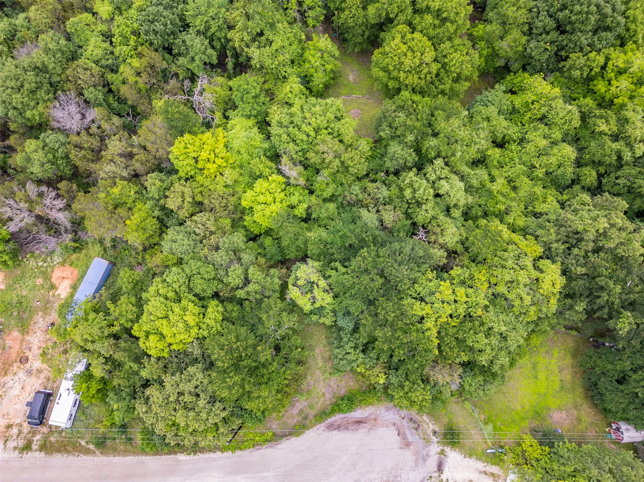 Expansive treed parcel with significant canopy coverage, offering a natural setting