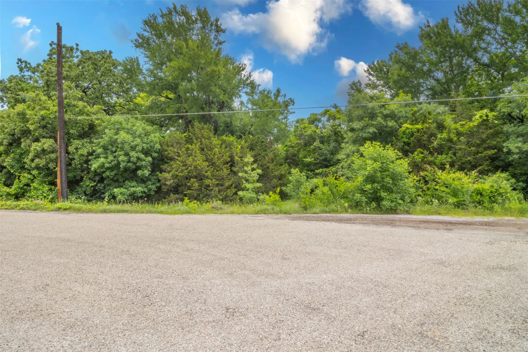 Paved surface in the foreground with a backdrop of mature trees and varied green foliage