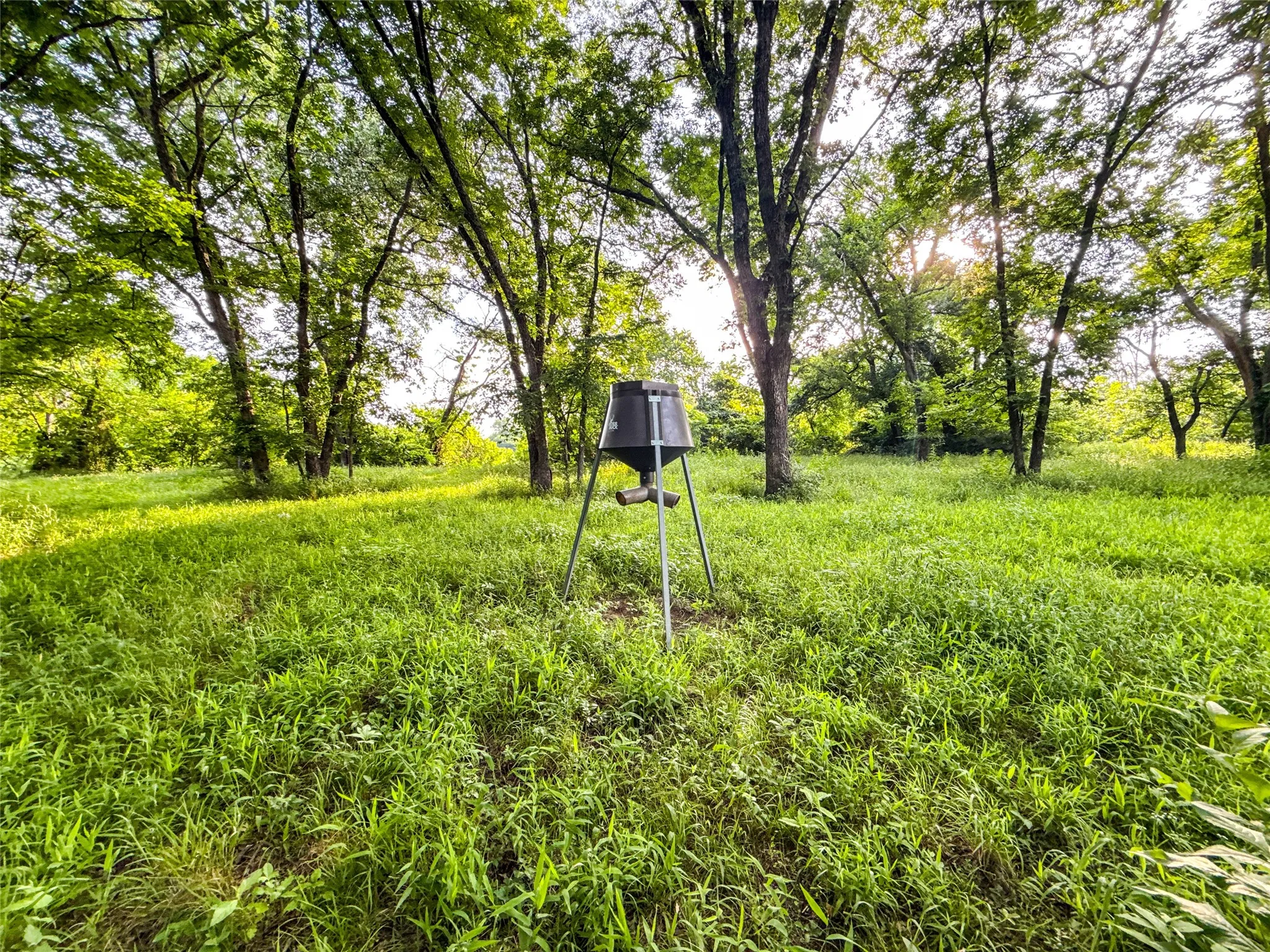 Improved Land For Sale in Denton County , 6219 KLEIN, Sanger, Texas 76266, 0, 0, Garage spaces, 0 Sqft, built in 0, mls#21297524, Real Estate Agent in Sanger, Homes For Sale in Denton county, Homes For Sale in Sanger, Realtor in Sanger Texas, Real Estate Brokerage Independent Realty Texas, Luminita Cordes Realtor