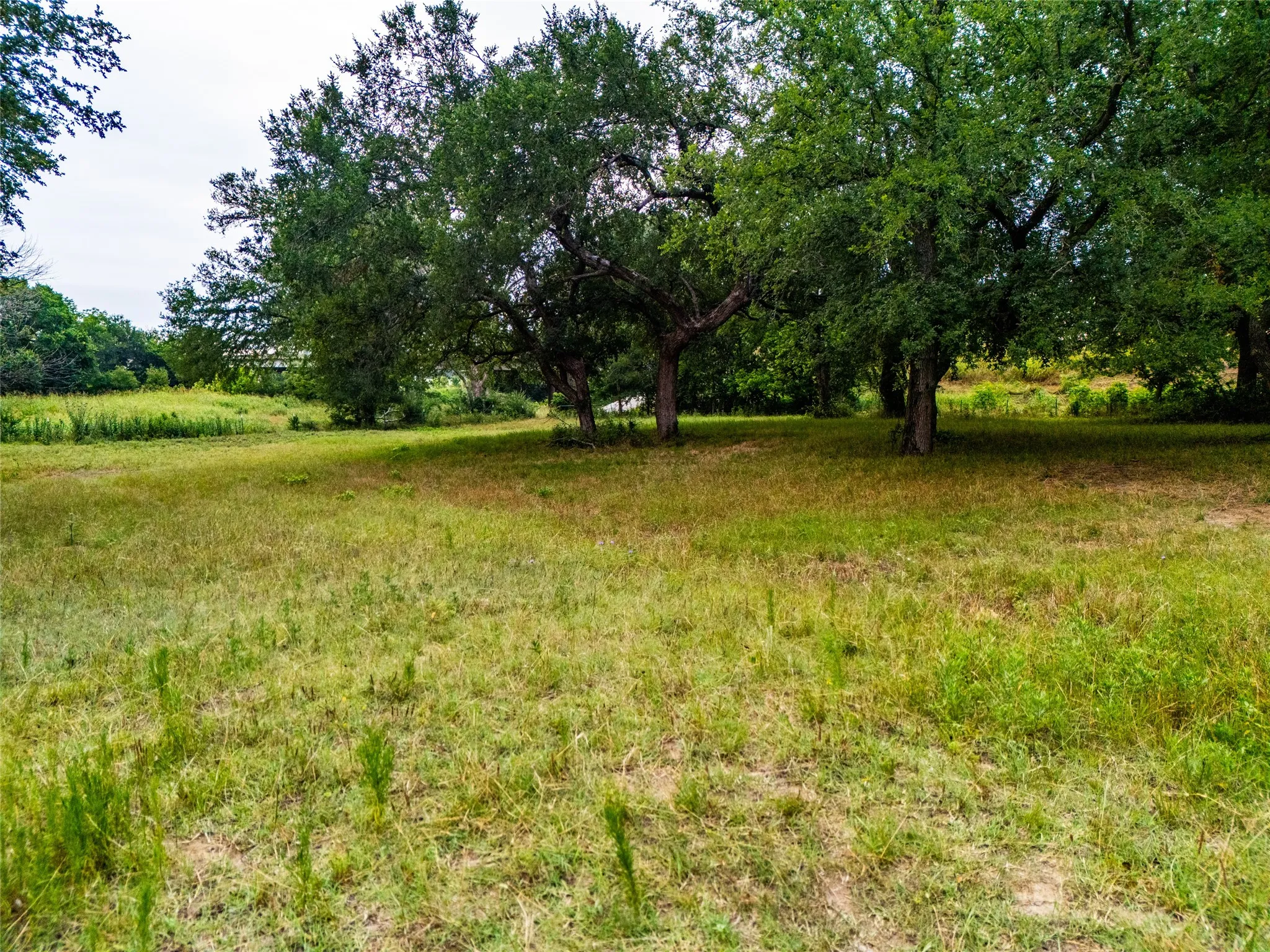 Improved Land For Sale in Denton County , 6219 KLEIN, Sanger, Texas 76266, 0, 0, Garage spaces, 0 Sqft, built in 0, mls#21297524, Real Estate Agent in Sanger, Homes For Sale in Denton county, Homes For Sale in Sanger, Realtor in Sanger Texas, Real Estate Brokerage Independent Realty Texas, Luminita Cordes Realtor