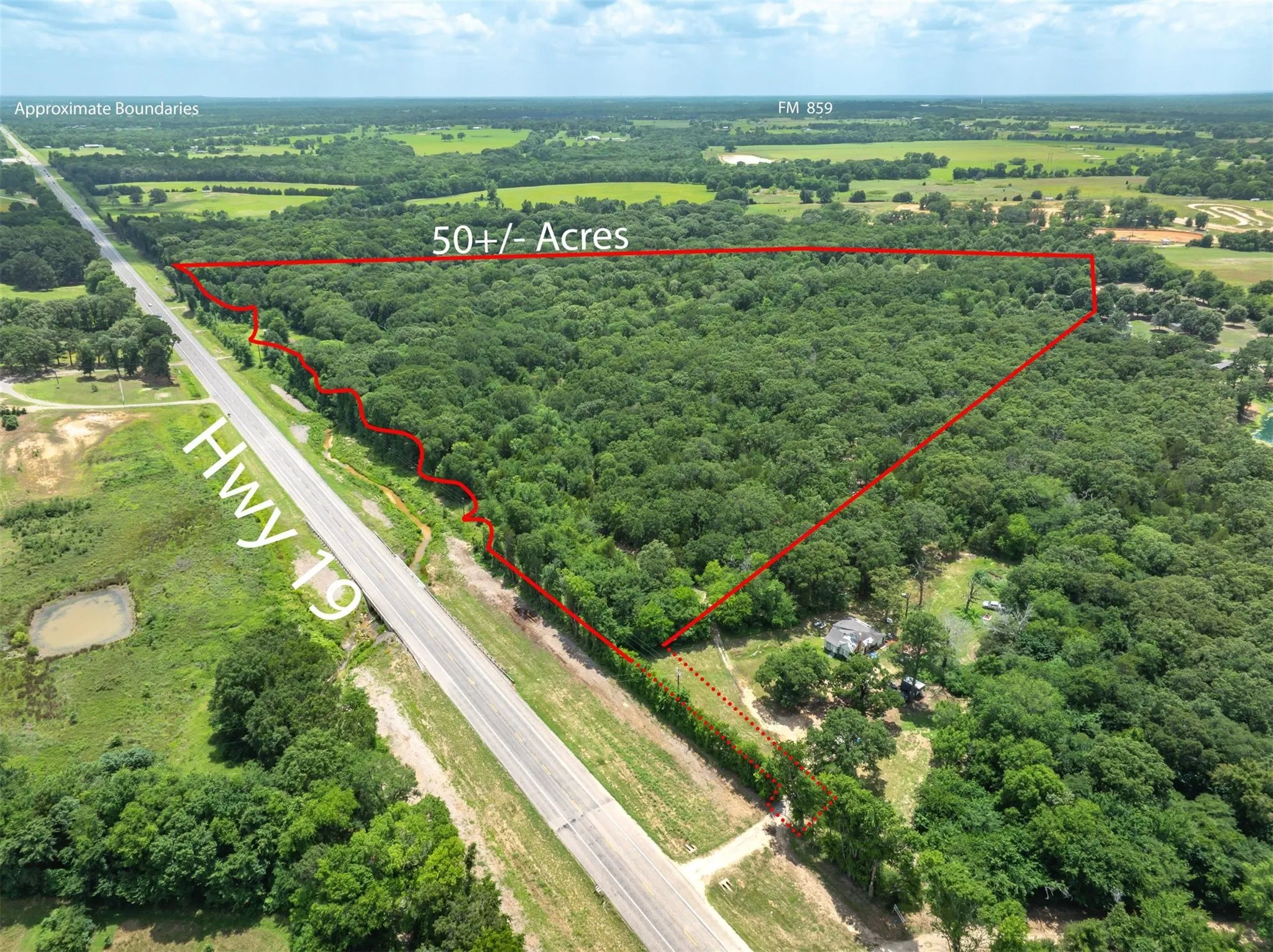 Unimproved Land For Sale in Van Zandt County , TBD Tx-19, Edgewood, Texas 75117, 0, 0, Garage spaces, 0 Sqft, built in 2020, mls#21290639, Real Estate Agent in Edgewood, Homes For Sale in Van Zandt county, Homes For Sale in Edgewood, Realtor in Edgewood Texas, Real Estate Brokerage Independent Realty Texas, Luminita Cordes Realtor