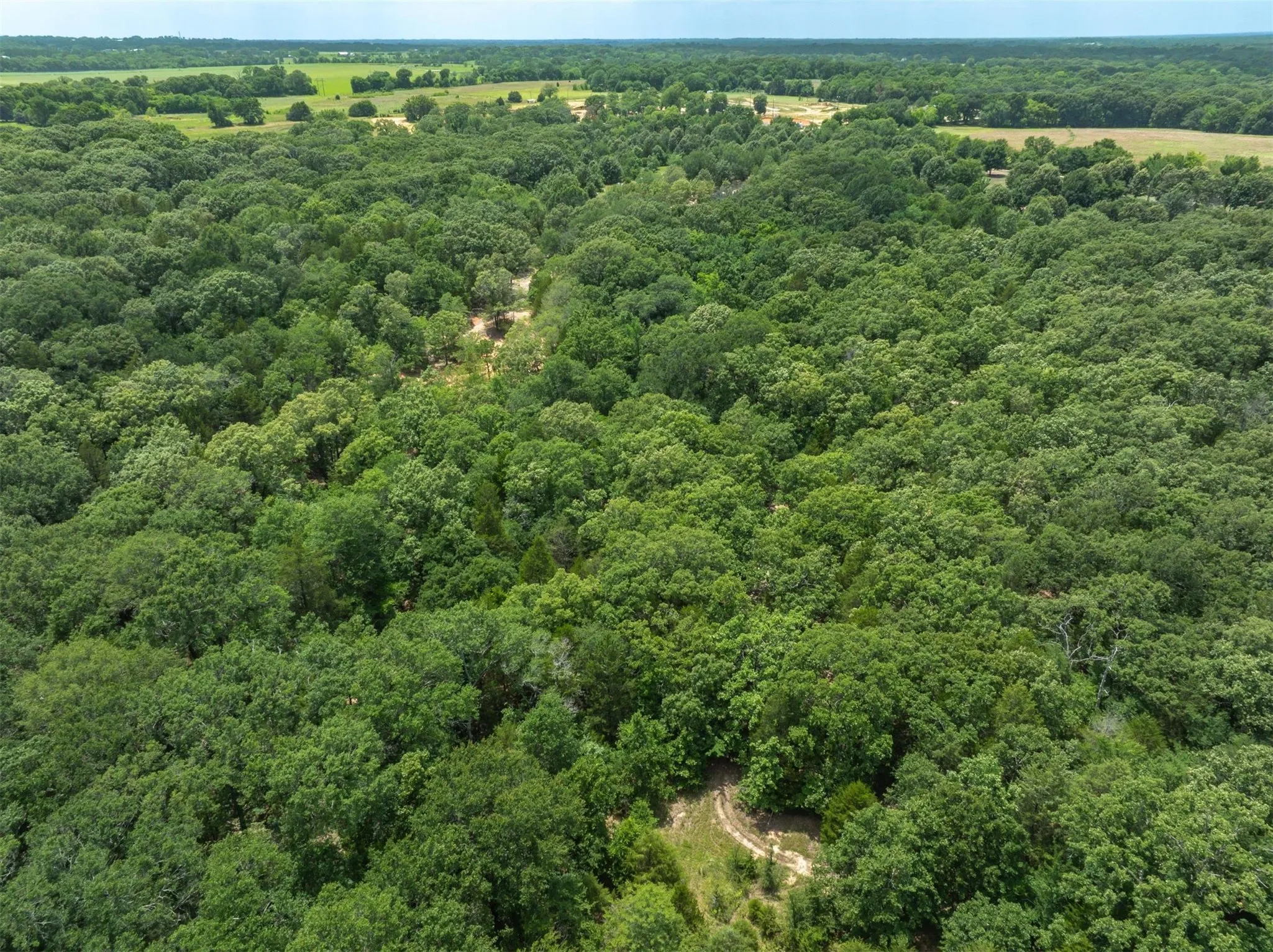 Unimproved Land For Sale in Van Zandt County , TBD Tx-19, Edgewood, Texas 75117, 0, 0, Garage spaces, 0 Sqft, built in 2020, mls#21290639, Real Estate Agent in Edgewood, Homes For Sale in Van Zandt county, Homes For Sale in Edgewood, Realtor in Edgewood Texas, Real Estate Brokerage Independent Realty Texas, Luminita Cordes Realtor