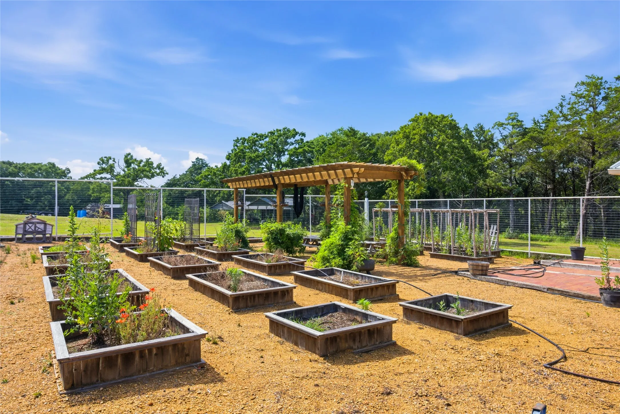 One side of the green house has a large pergola along with individual garden boxes.  The other side has many garden boxes as well  In between, a gated entrance leads to a gazebo that you walk through to get to the front porch of the greenhouse.