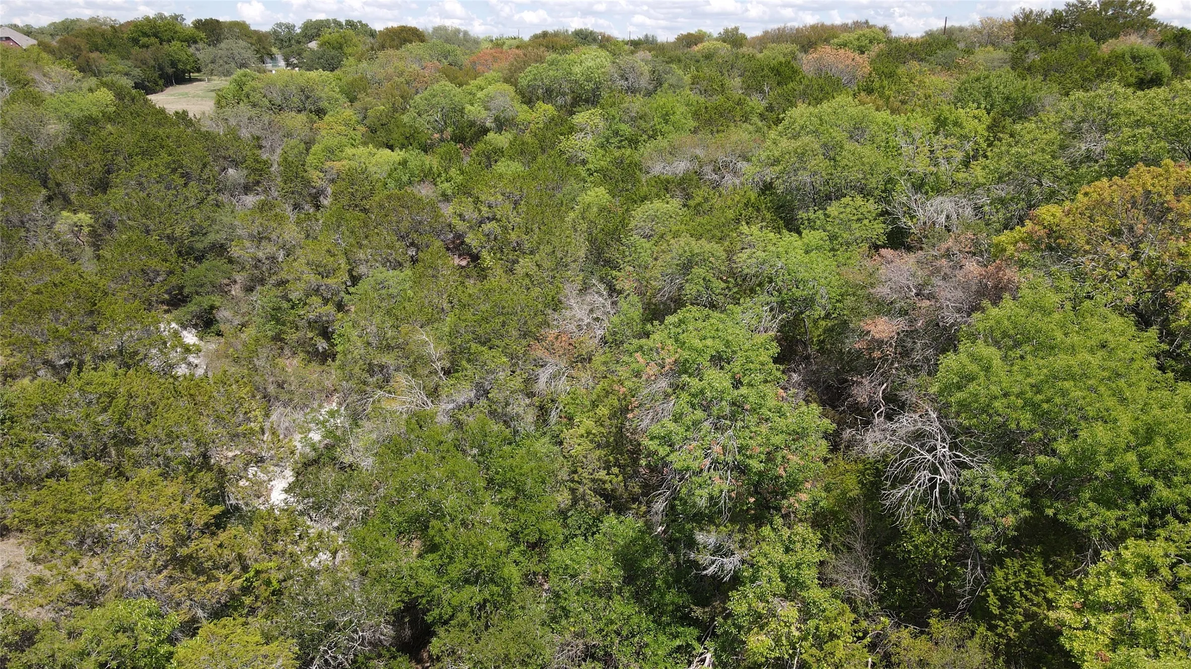 Unimproved Land For Sale in Hill County , 3027 Hillside Court, Whitney, Texas 76692, 0, 0, Garage spaces, 0 Sqft, built in 0, Price $38,000, mls#21290390, Real Estate Agent in Whitney, Homes For Sale in Hill county, Homes For Sale in Whitney, Realtor in Whitney Texas, Real Estate Brokerage Independent Realty Texas, Luminita Cordes Realtor