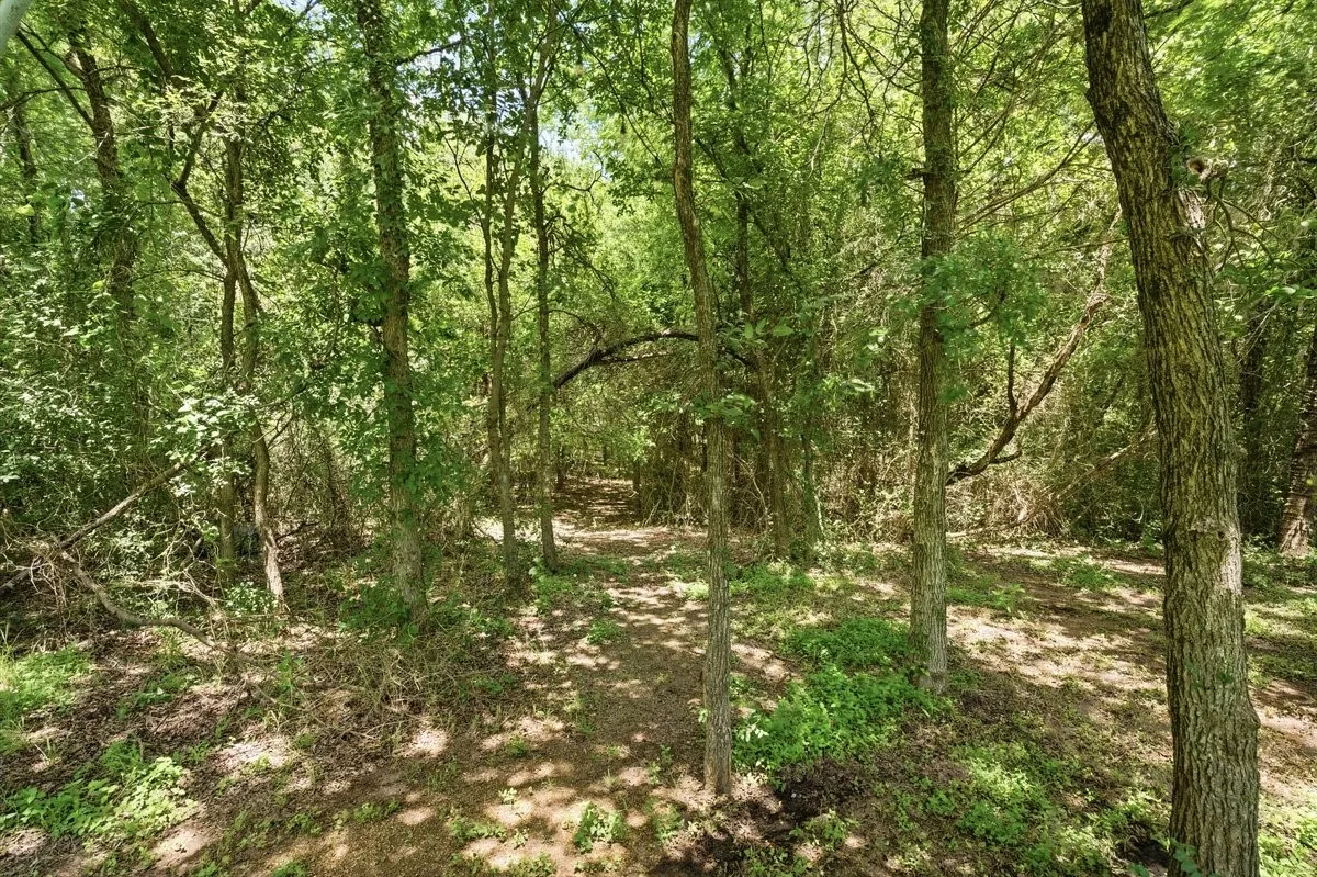 Back of the acreage
