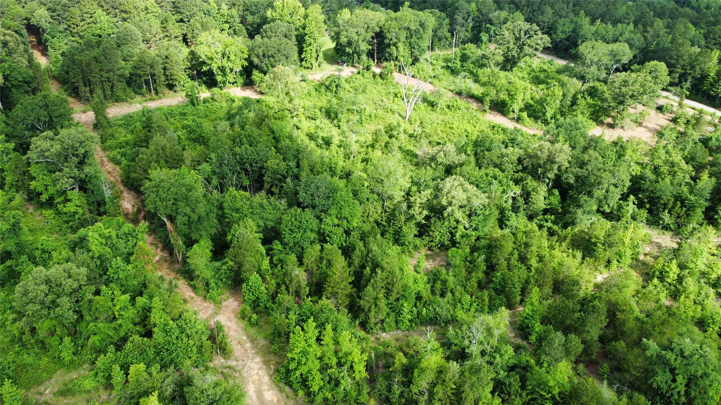 Unimproved Land For Sale in Smith County , TBD County Road 385, Tyler, Texas 75708, 0, 0, Garage spaces, 0 Sqft, built in 0, mls#21298372, Real Estate Agent in Tyler, Homes For Sale in Smith county, Homes For Sale in Tyler, Realtor in Tyler Texas, Real Estate Brokerage Independent Realty Texas, Luminita Cordes Realtor