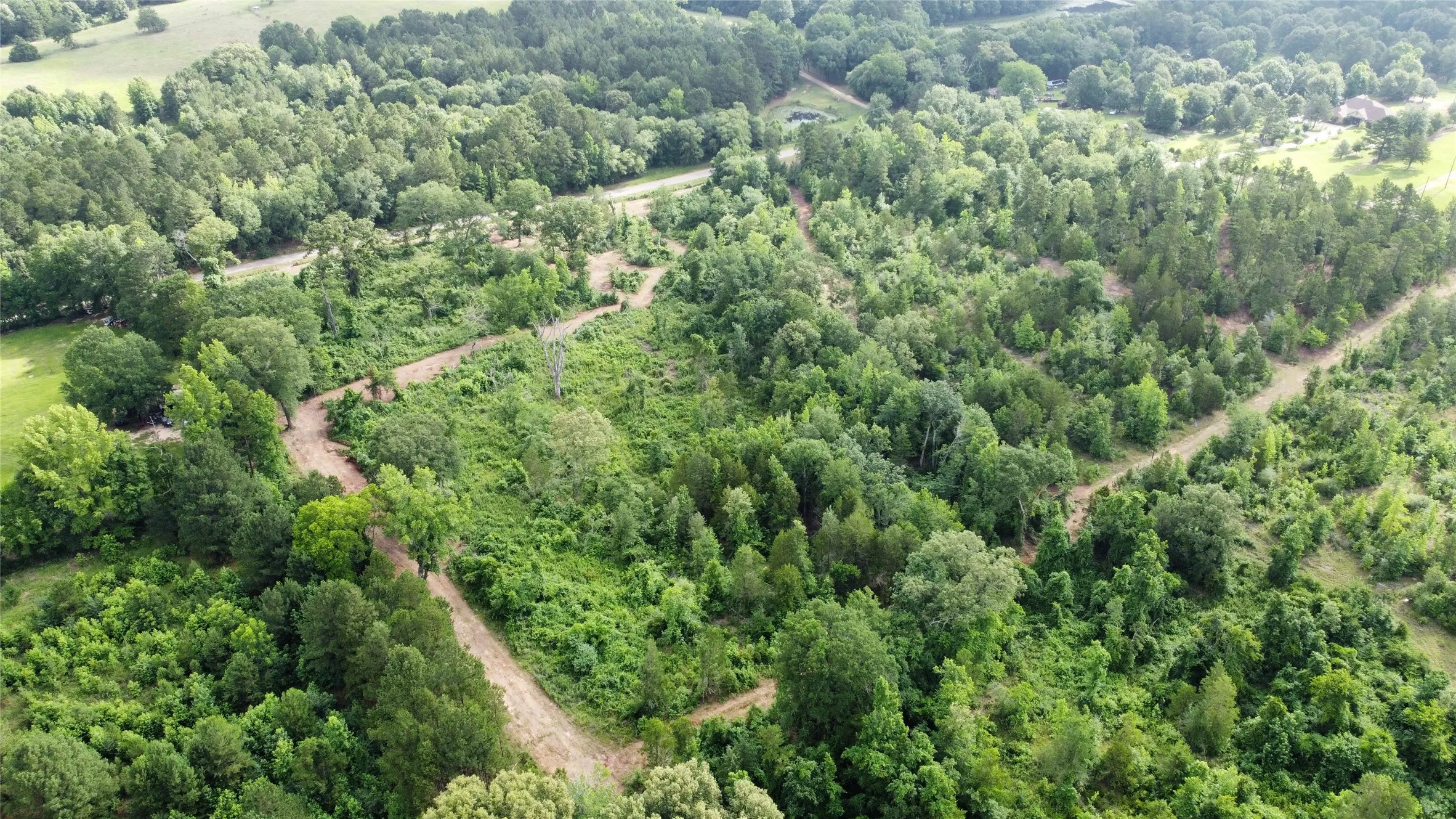 Unimproved Land For Sale in Smith County , TBD County Road 385, Tyler, Texas 75708, 0, 0, Garage spaces, 0 Sqft, built in 0, mls#21298372, Real Estate Agent in Tyler, Homes For Sale in Smith county, Homes For Sale in Tyler, Realtor in Tyler Texas, Real Estate Brokerage Independent Realty Texas, Luminita Cordes Realtor