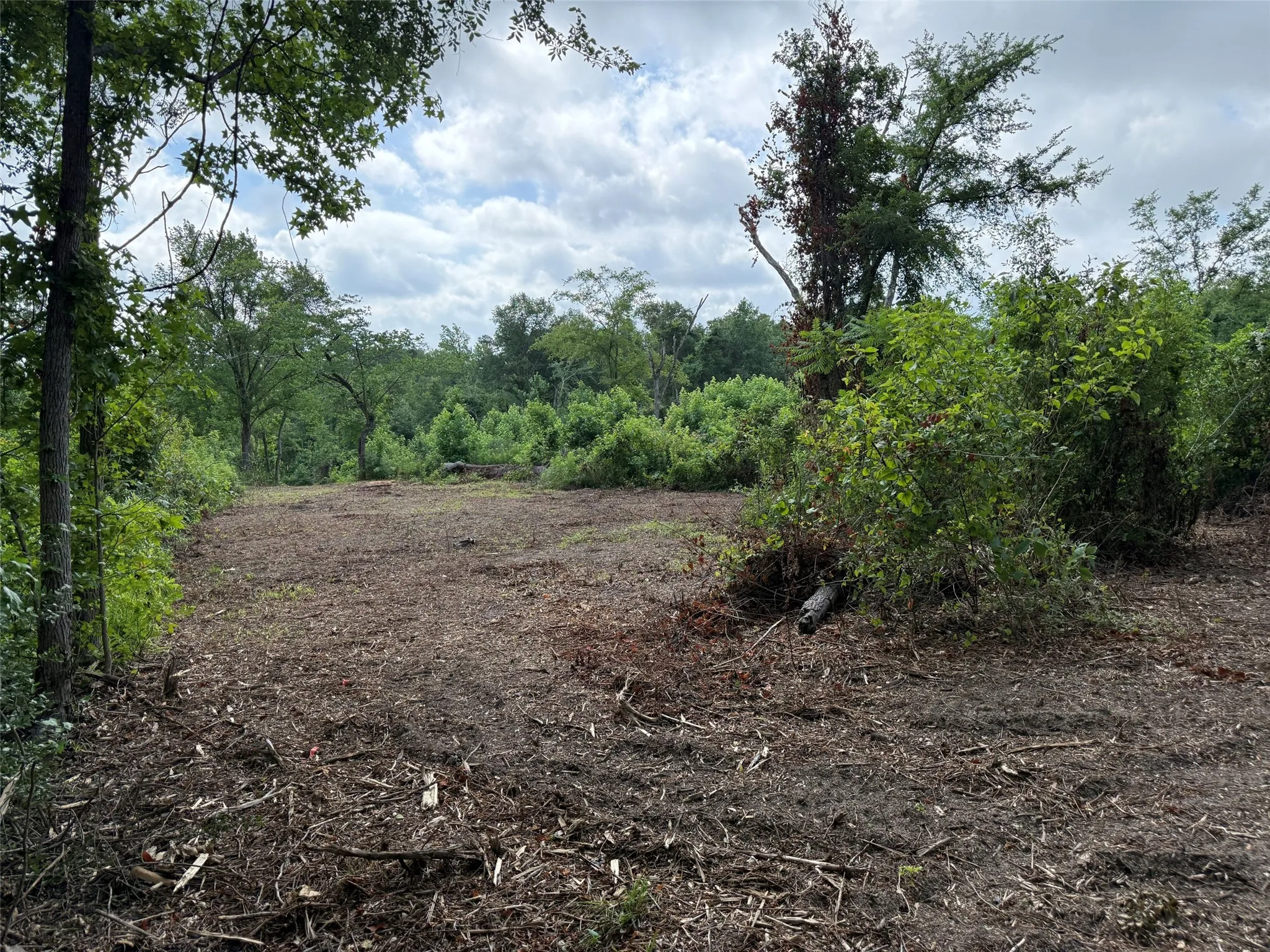 Unimproved Land For Sale in Smith County , TBD County Road 385, Tyler, Texas 75708, 0, 0, Garage spaces, 0 Sqft, built in 0, mls#21298372, Real Estate Agent in Tyler, Homes For Sale in Smith county, Homes For Sale in Tyler, Realtor in Tyler Texas, Real Estate Brokerage Independent Realty Texas, Luminita Cordes Realtor