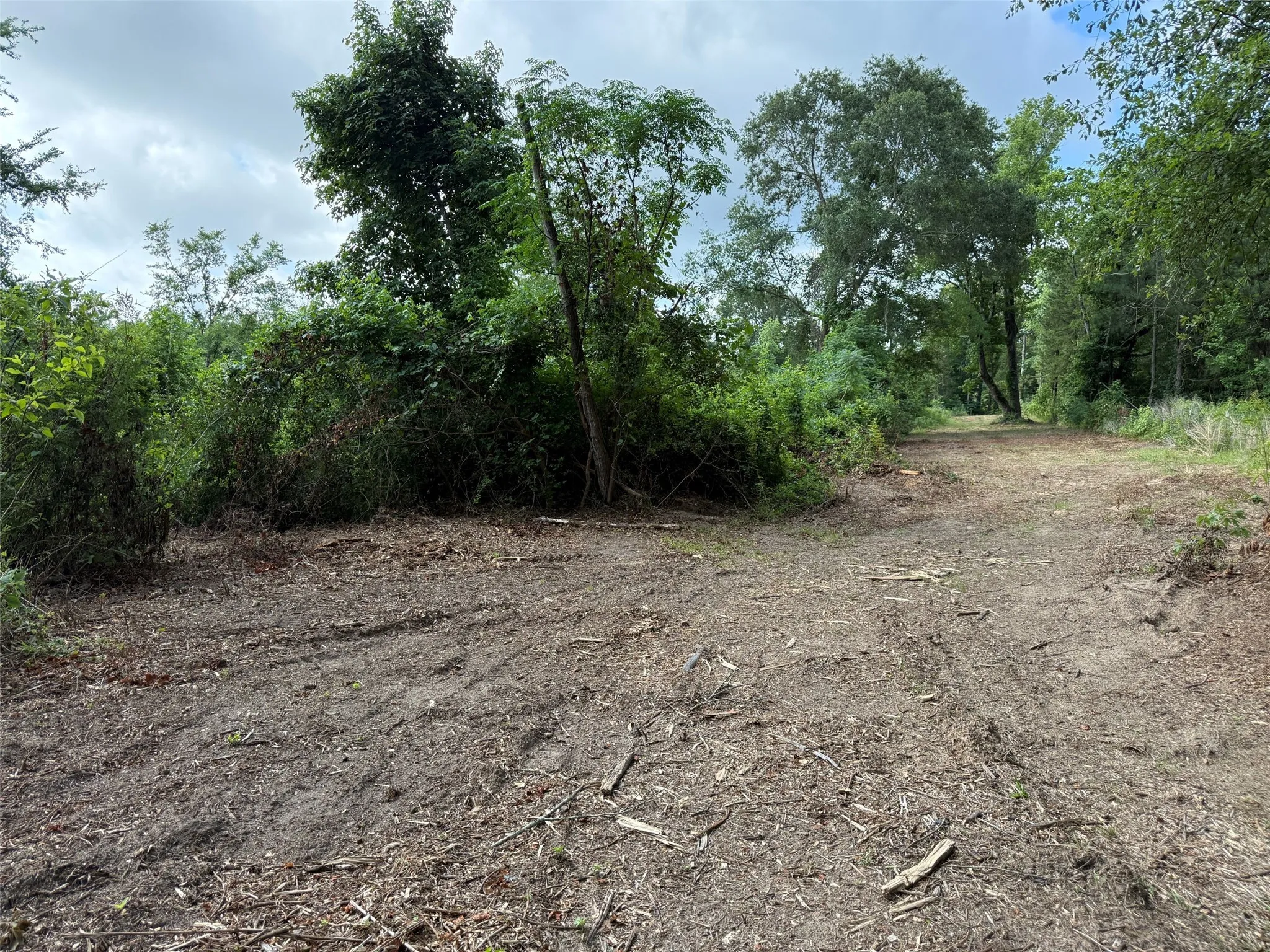 Unimproved Land For Sale in Smith County , TBD County Road 385, Tyler, Texas 75708, 0, 0, Garage spaces, 0 Sqft, built in 0, mls#21298372, Real Estate Agent in Tyler, Homes For Sale in Smith county, Homes For Sale in Tyler, Realtor in Tyler Texas, Real Estate Brokerage Independent Realty Texas, Luminita Cordes Realtor