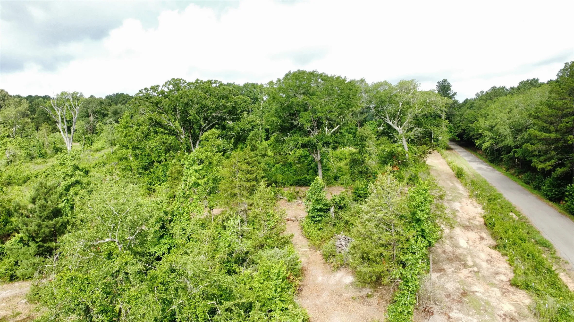 Unimproved Land For Sale in Smith County , TBD County Road 385, Tyler, Texas 75708, 0, 0, Garage spaces, 0 Sqft, built in 0, mls#21298372, Real Estate Agent in Tyler, Homes For Sale in Smith county, Homes For Sale in Tyler, Realtor in Tyler Texas, Real Estate Brokerage Independent Realty Texas, Luminita Cordes Realtor
