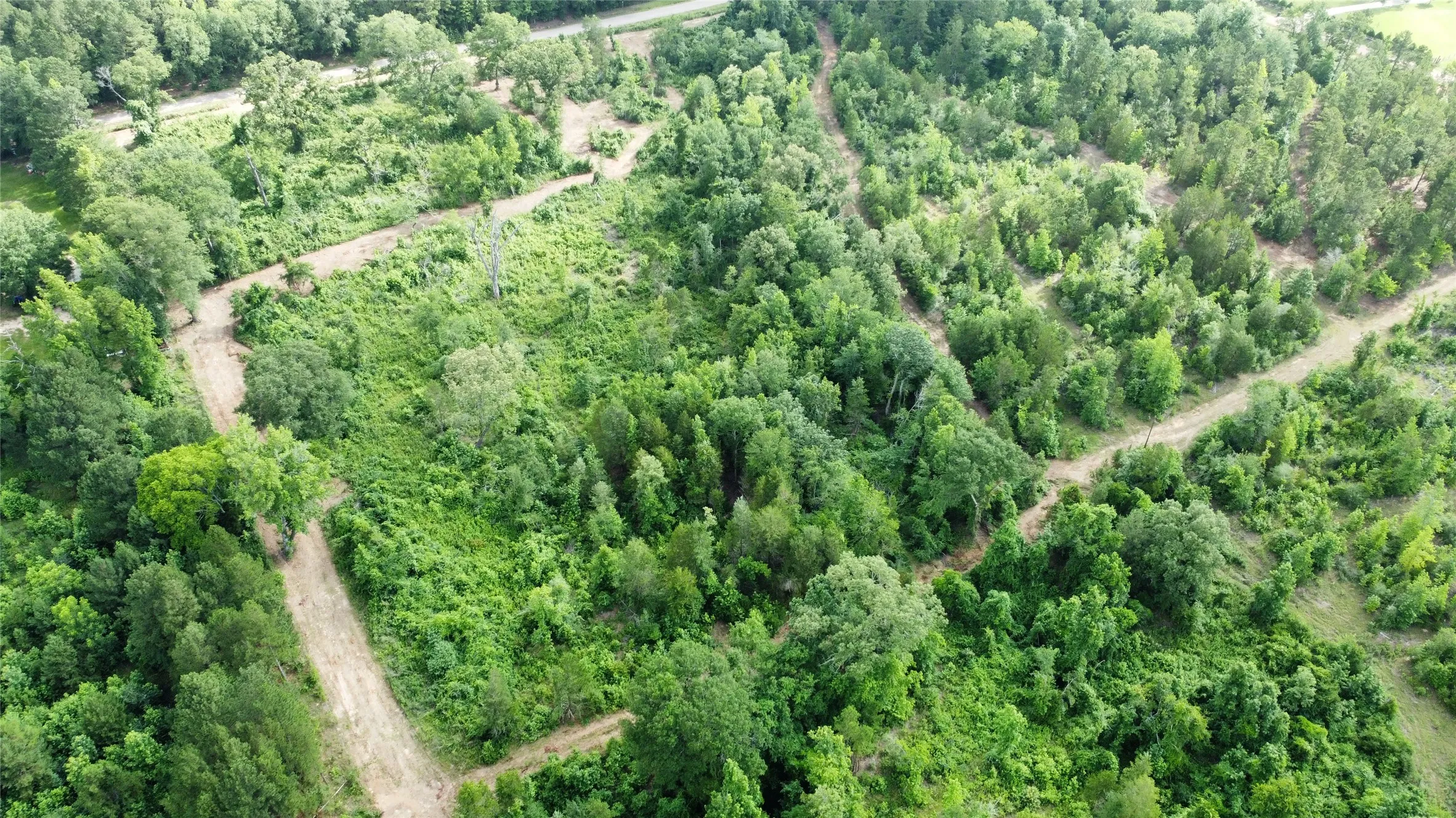 Unimproved Land For Sale in Smith County , TBD County Road 385, Tyler, Texas 75708, 0, 0, Garage spaces, 0 Sqft, built in 0, mls#21298372, Real Estate Agent in Tyler, Homes For Sale in Smith county, Homes For Sale in Tyler, Realtor in Tyler Texas, Real Estate Brokerage Independent Realty Texas, Luminita Cordes Realtor